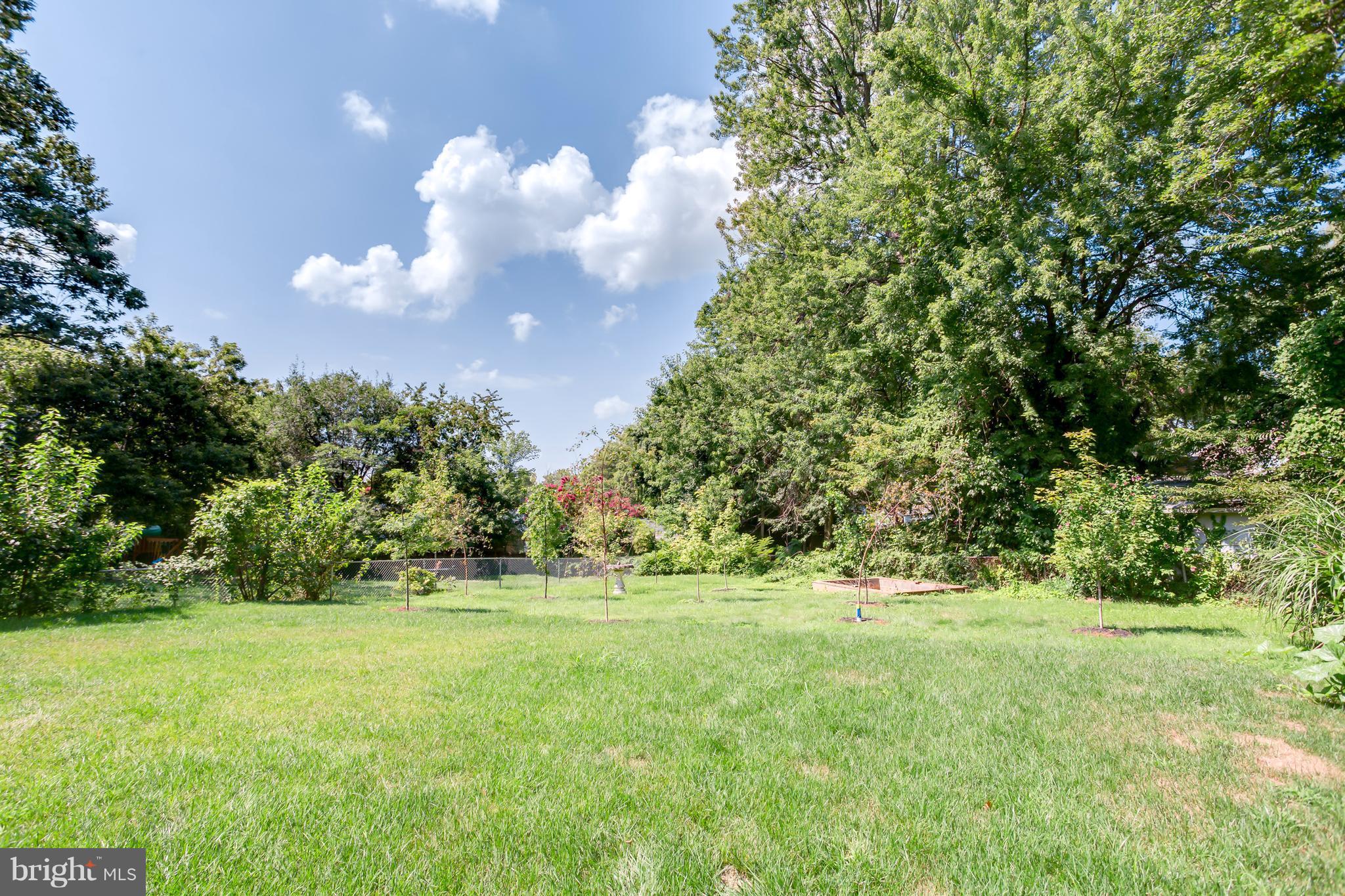 1928 Griffith Road Falls Church, VA 22043 - Photo 30 of 30 Backyard