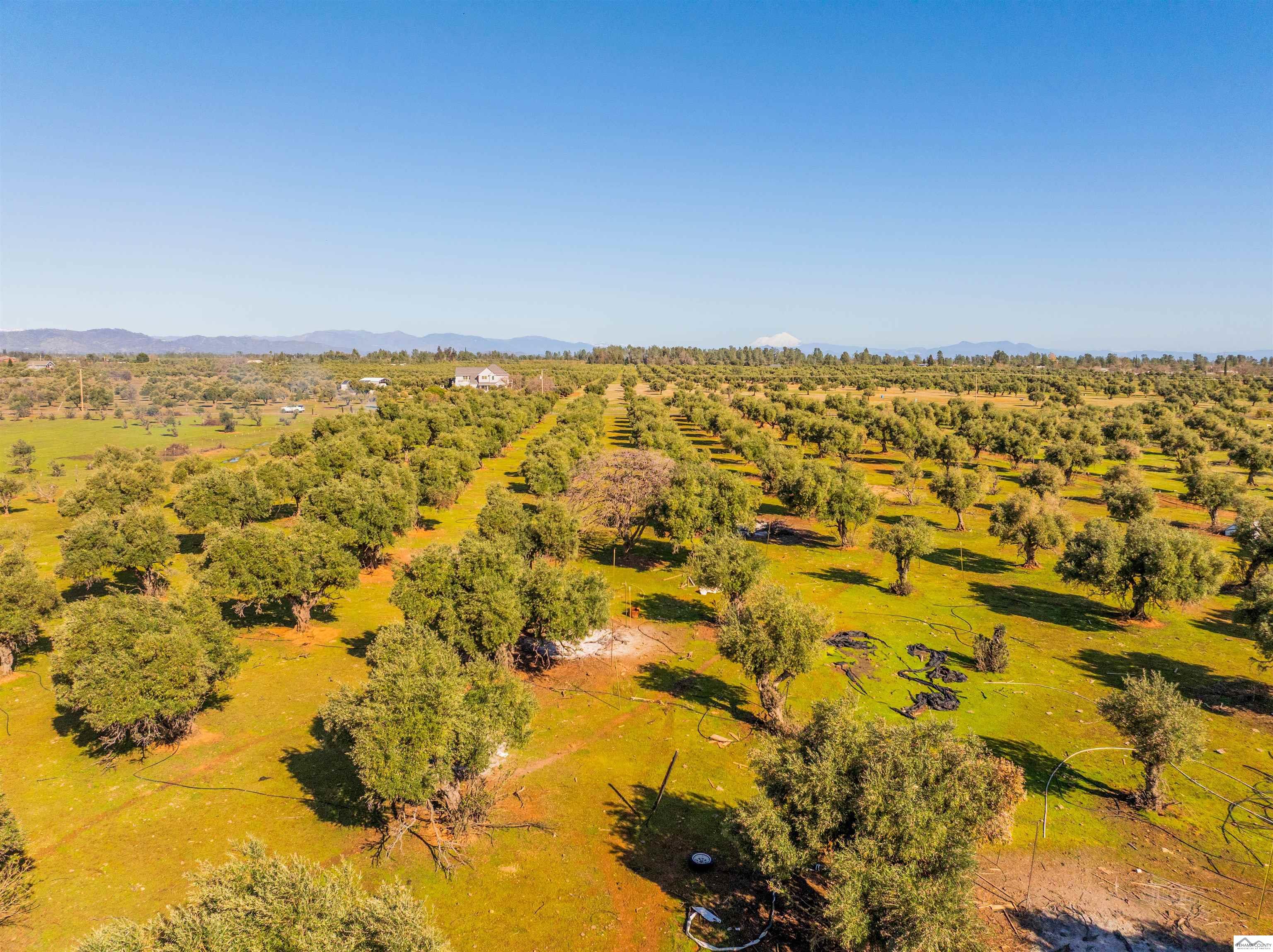 16897 Olinda Road Anderson, CA 96007 - Photo 16 of 16 Gallery Image 16