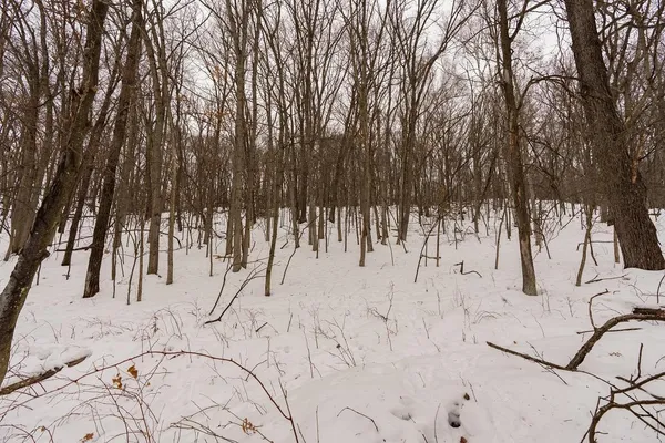 $299,000 | E6783 1090th Avenue, Wheeler, WI 54772