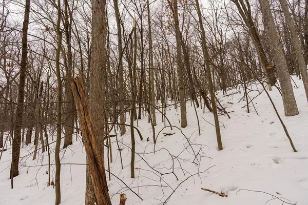 $299,000 | E6783 1090th Avenue, Wheeler, WI 54772