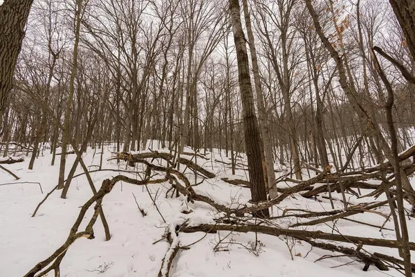 $299,000 | E6783 1090th Avenue, Wheeler, WI 54772