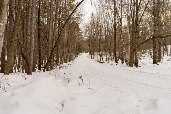 $299,000 | E6783 1090th Avenue, Wheeler, WI 54772