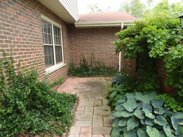 6N200 Woodland Road St. Charles, IL 60175 - Photo 4 of 28