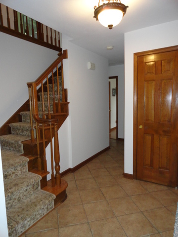 6N200 Woodland Road St. Charles, IL 60175 - Photo 5 of 28