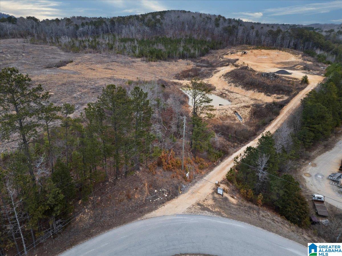 409 Industrial Park Road Oneonta, AL 35121 - Photo 4 of 14
