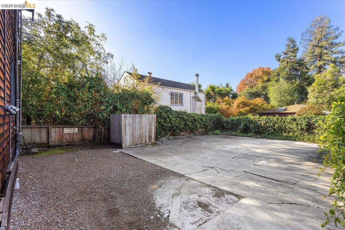 2702 Dana Street Berkeley, CA 94705 - Photo 24 of 37 a view of a backyard with plants and a large tree