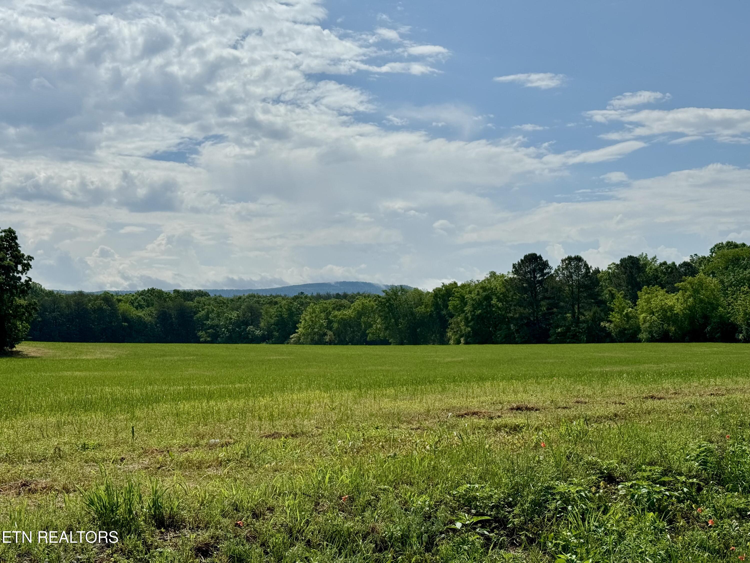 Chestnut Grove Road Etowah, TN 37331 - Photo 12 of 23 IMG_4230