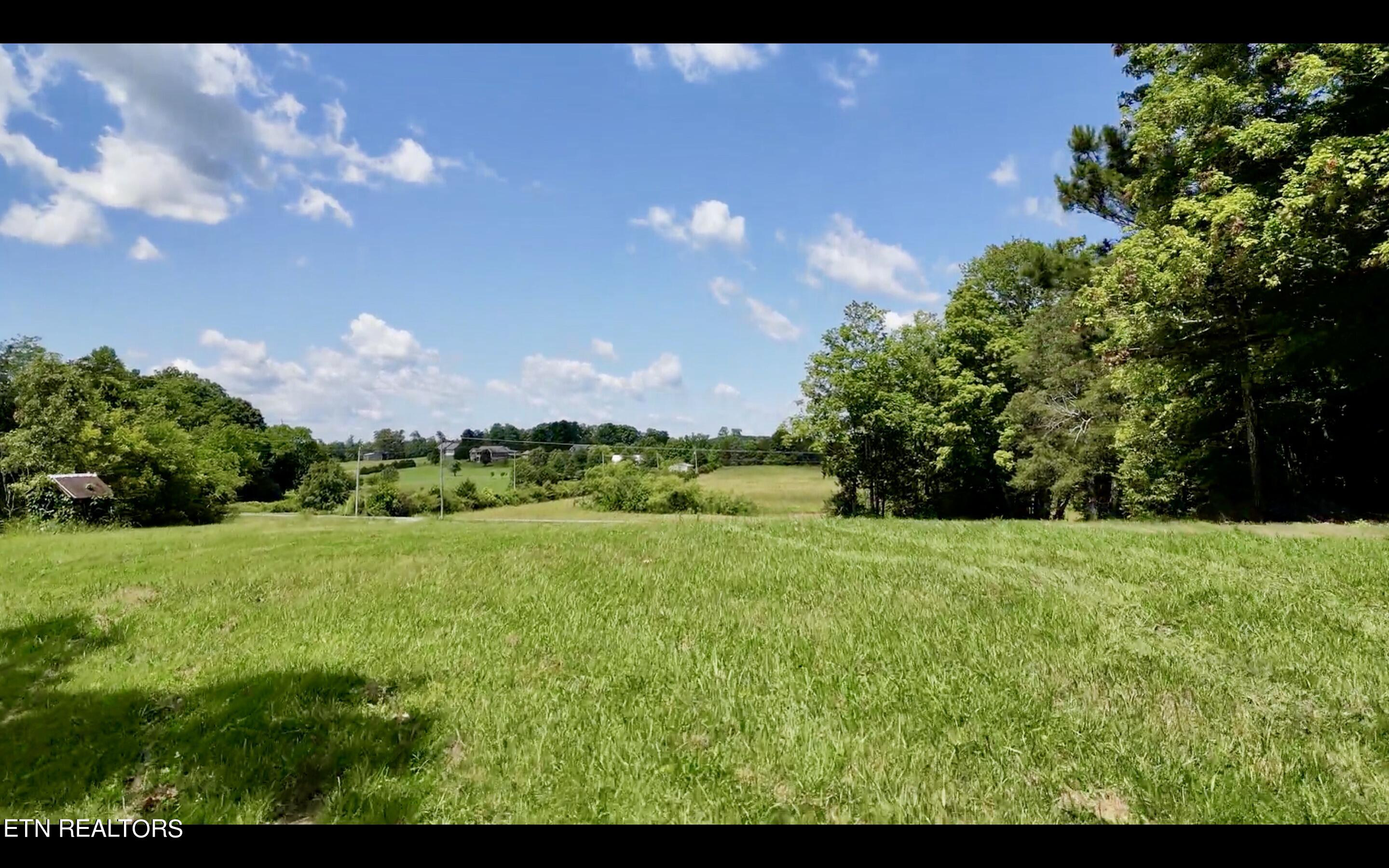 Chestnut Grove Road Etowah, TN 37331 - Photo 15 of 23 Lot 1_3