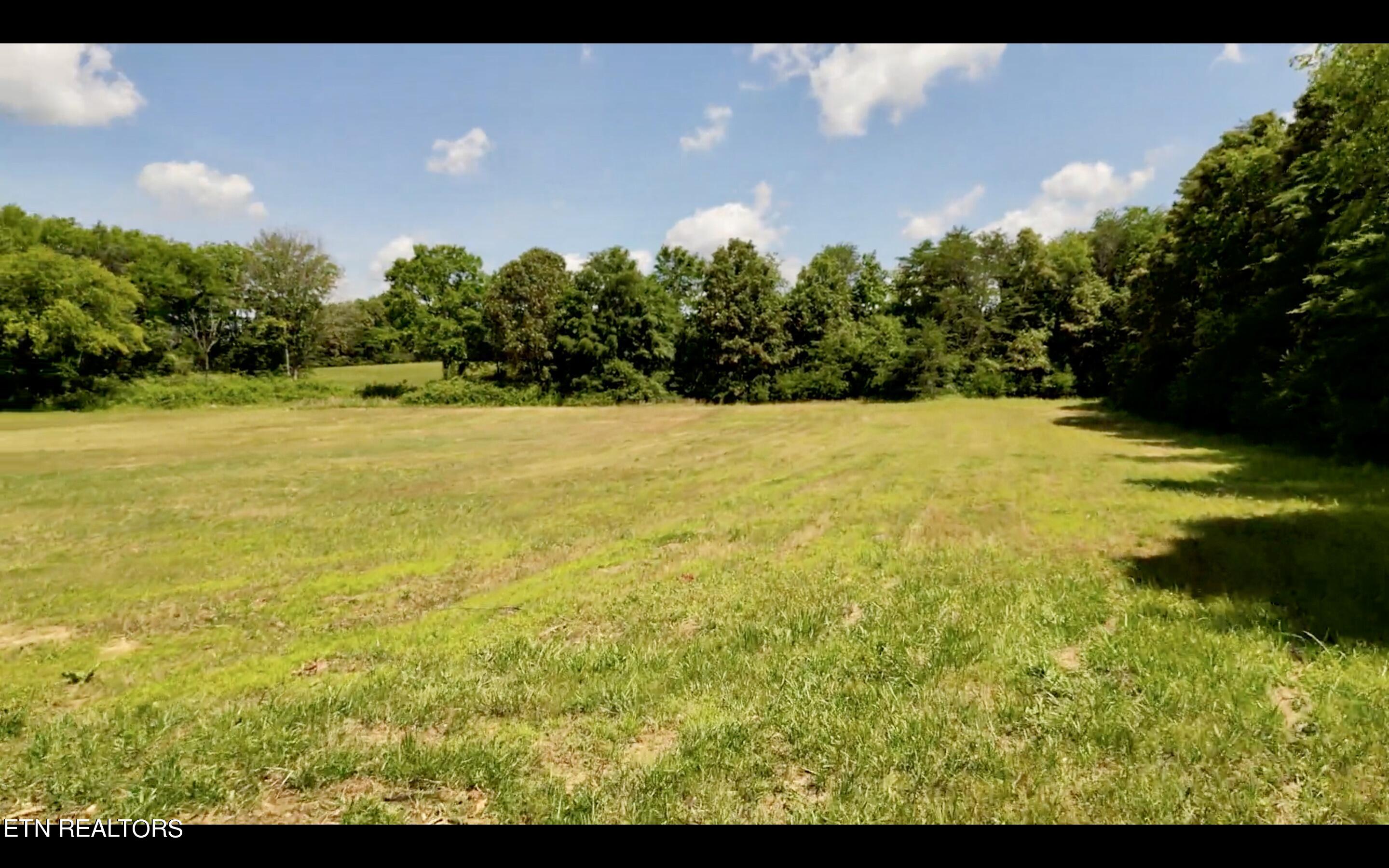 Chestnut Grove Road Etowah, TN 37331 - Photo 16 of 23 Lot 2_1
