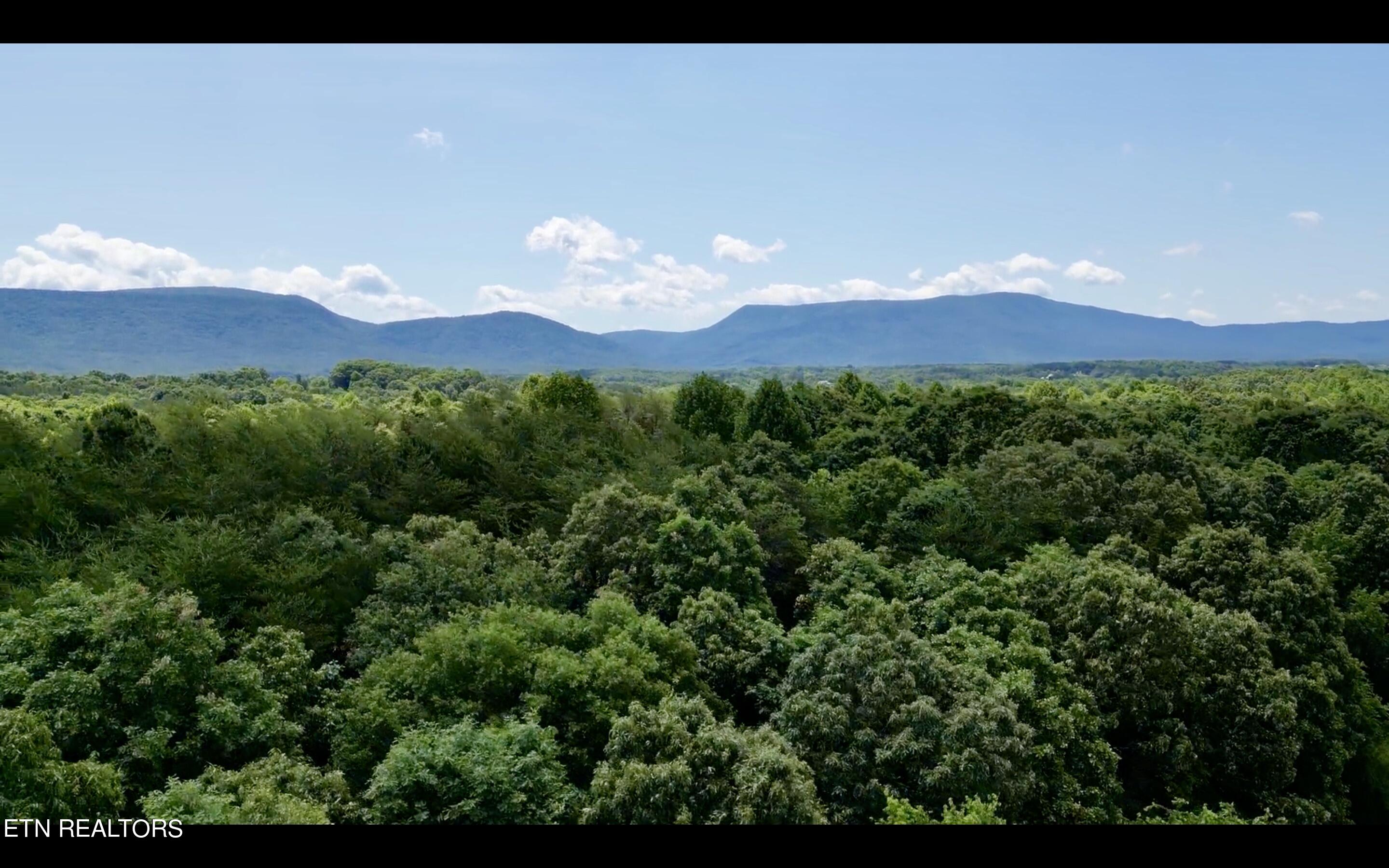 Chestnut Grove Road Etowah, TN 37331 - Photo 2 of 23 Aerial Mountains_2