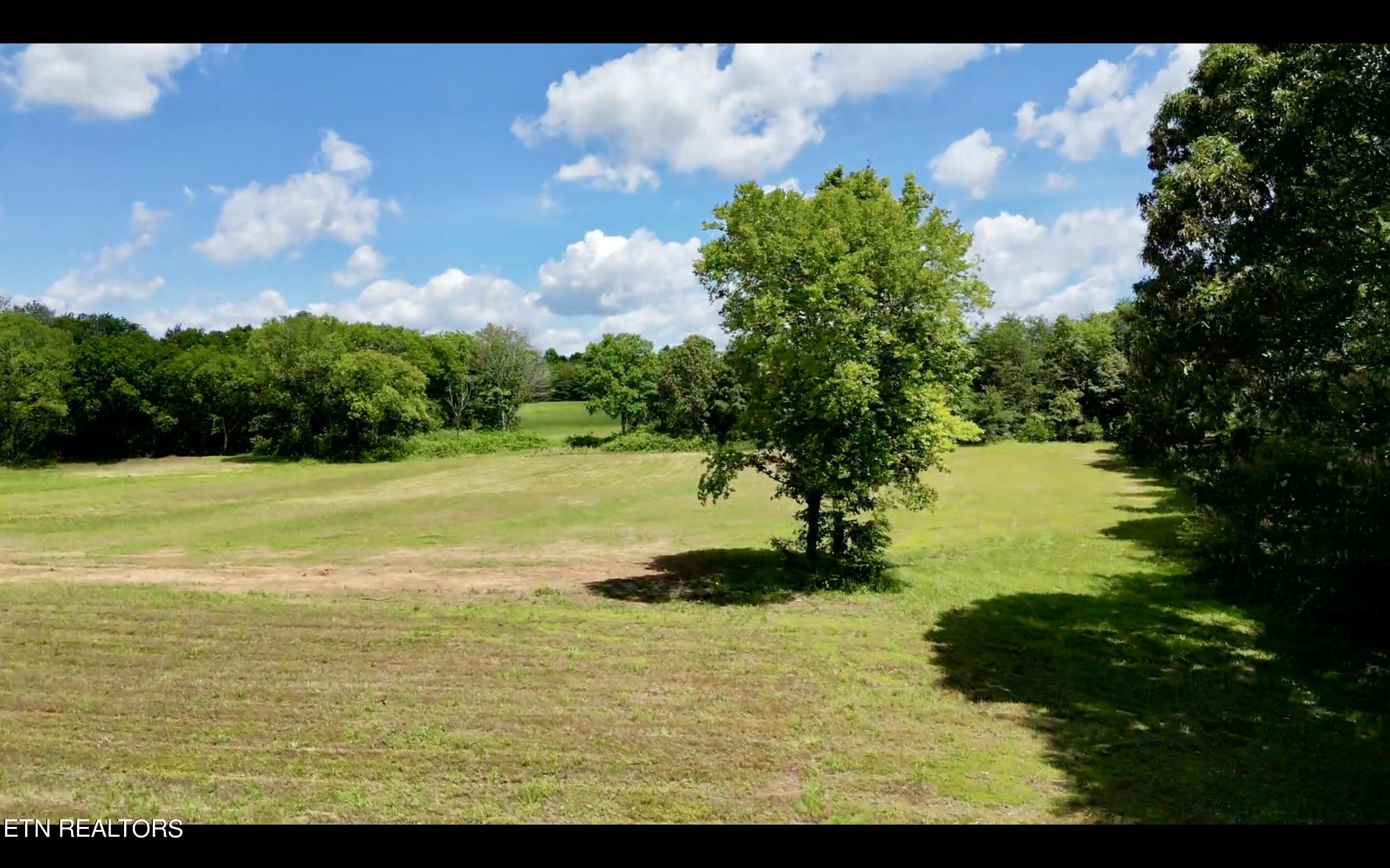 Chestnut Grove Road Etowah, TN 37331 - Photo 21 of 23 Lot 2_6