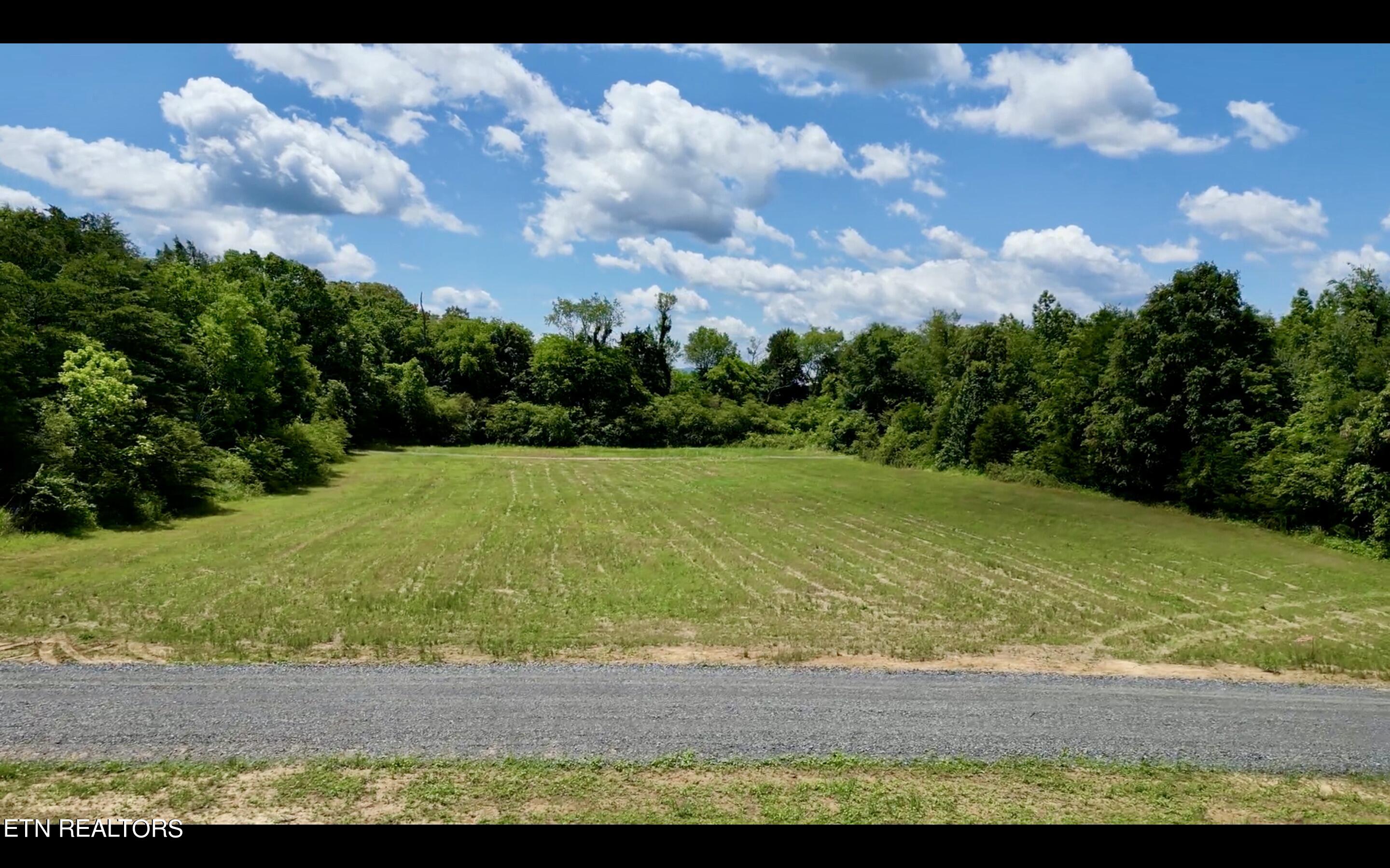 Chestnut Grove Road Etowah, TN 37331 - Photo 22 of 23 Lot 7_1