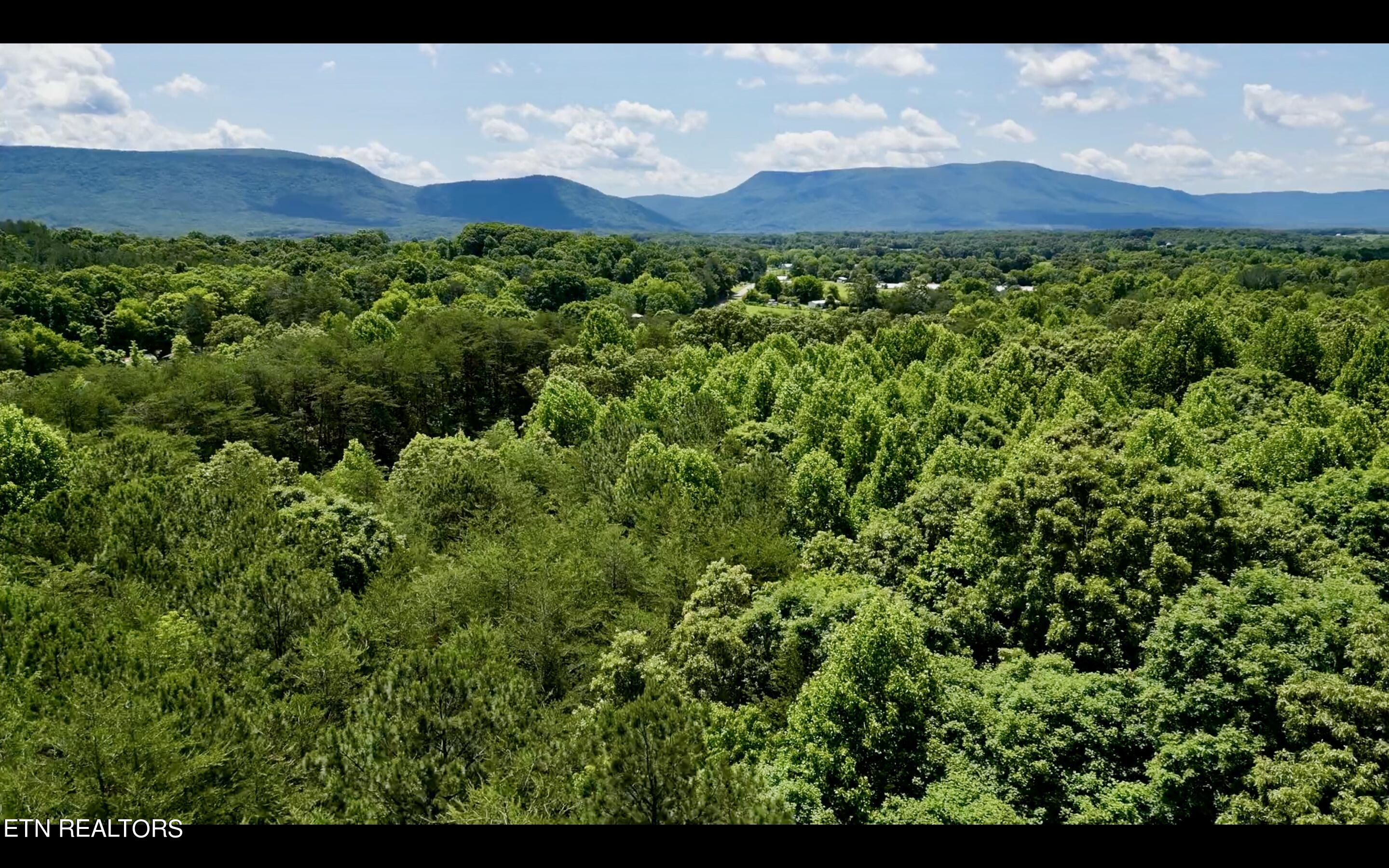 Chestnut Grove Road Etowah, TN 37331 - Photo 4 of 23 Aerial_2
