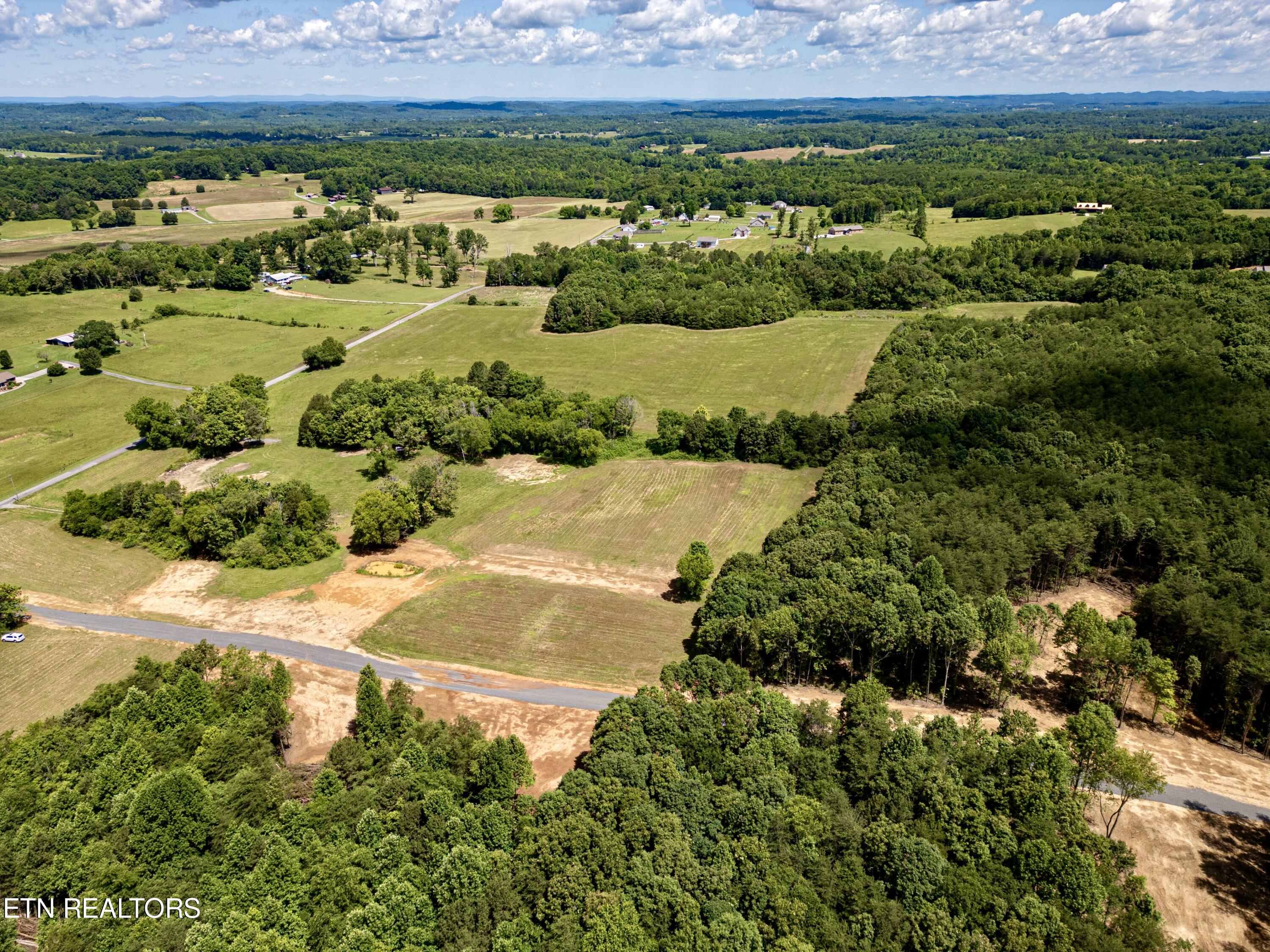 Chestnut Grove Road Etowah, TN 37331 - Photo 5 of 23 Aerial_2