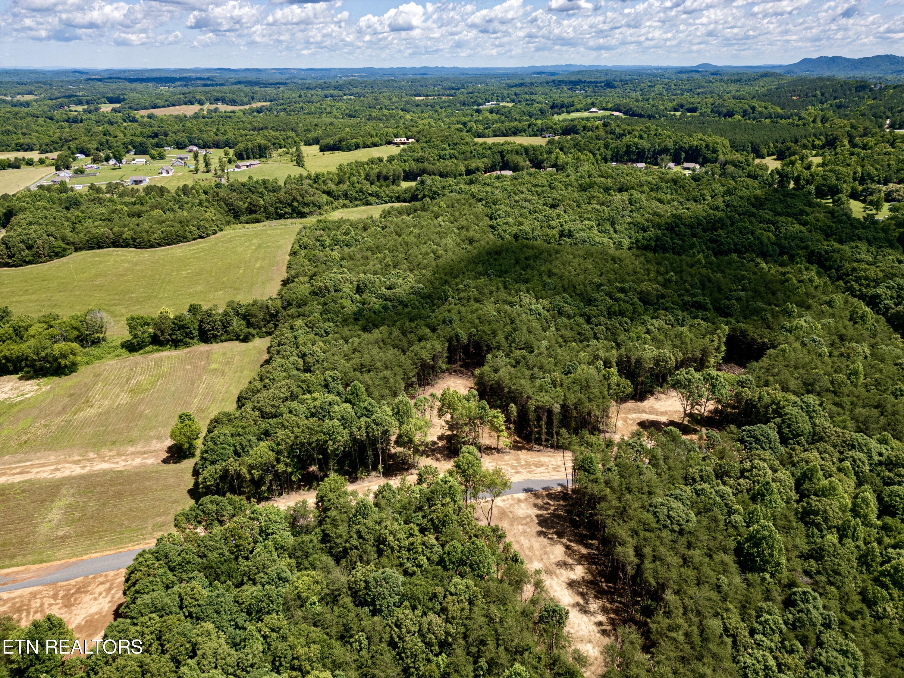 Chestnut Grove Road Etowah, TN 37331 - Photo 6 of 23 Aerial_3
