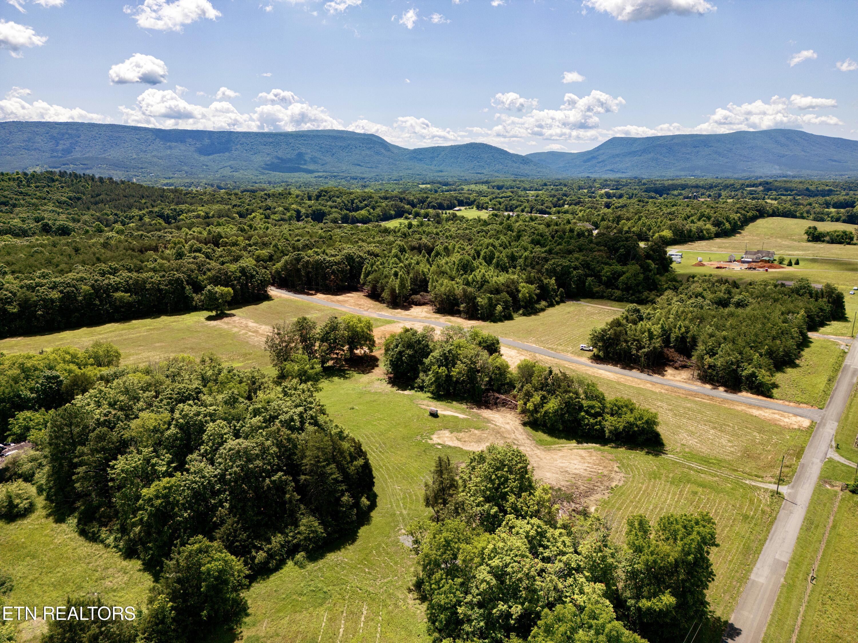 Chestnut Grove Road Etowah, TN 37331 - Photo 7 of 23 Aerial_4