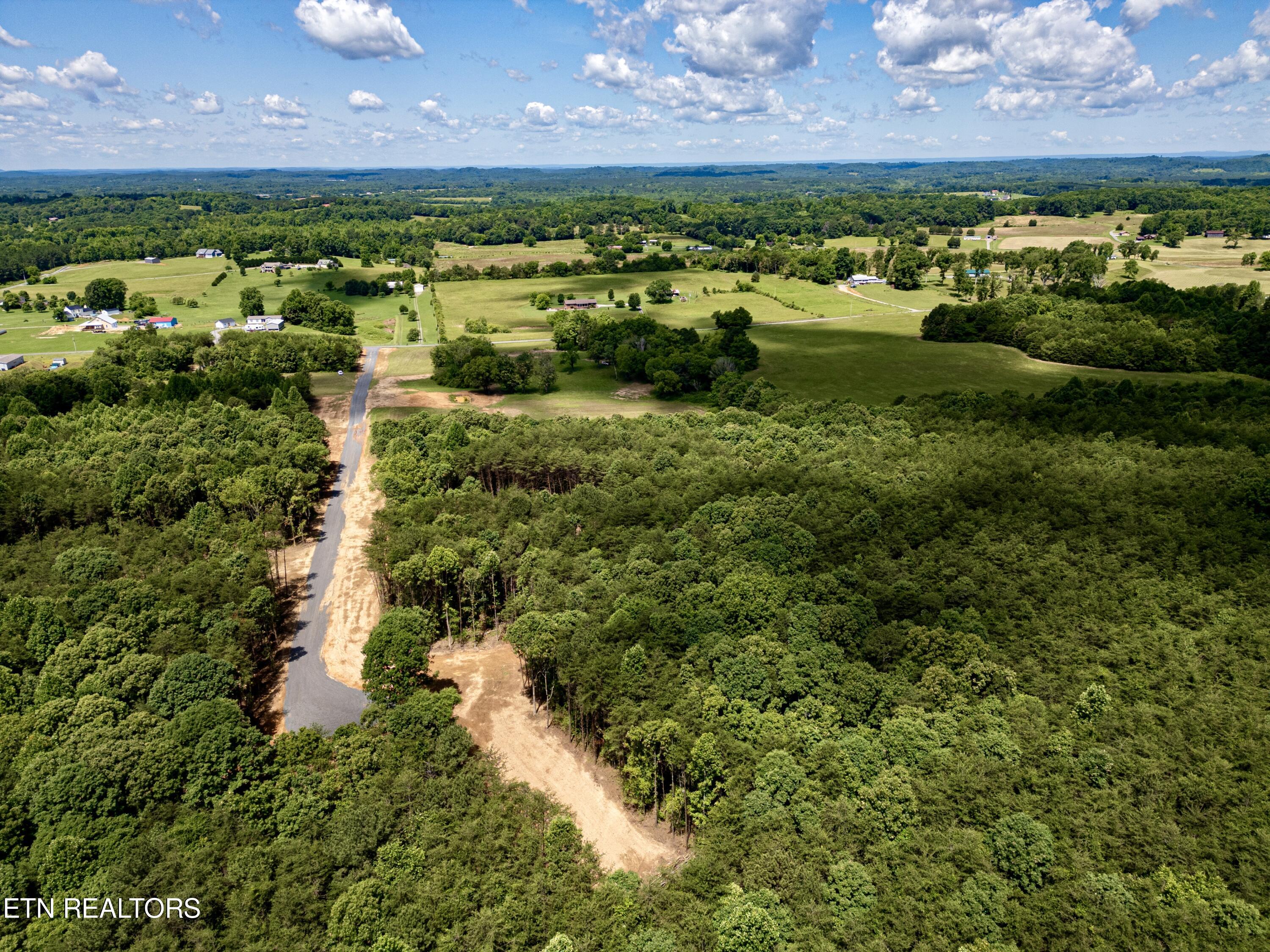 Chestnut Grove Road Etowah, TN 37331 - Photo 8 of 23 Aerial_5