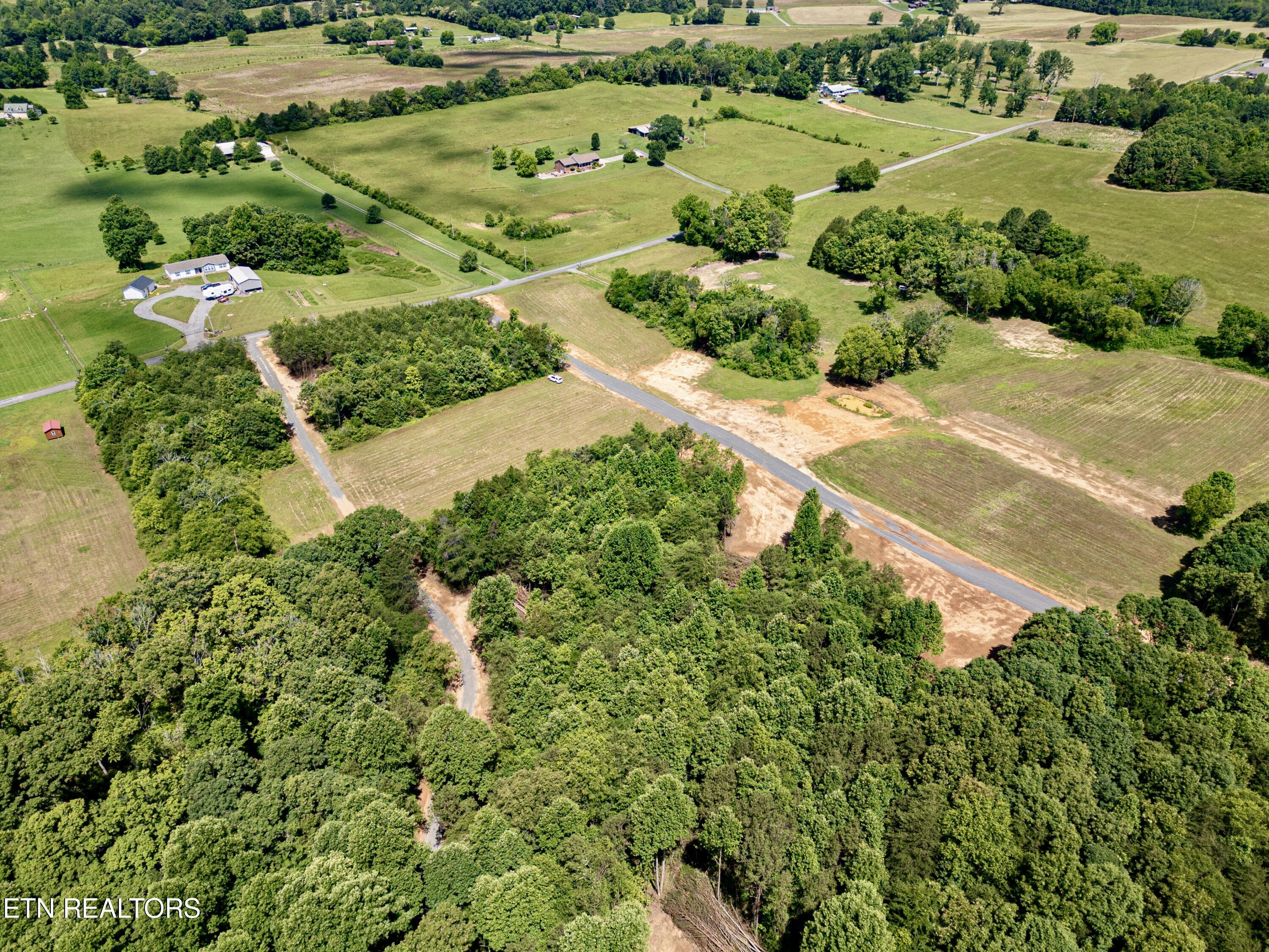 Chestnut Grove Road Etowah, TN 37331 - Photo 9 of 23 Aerial_6