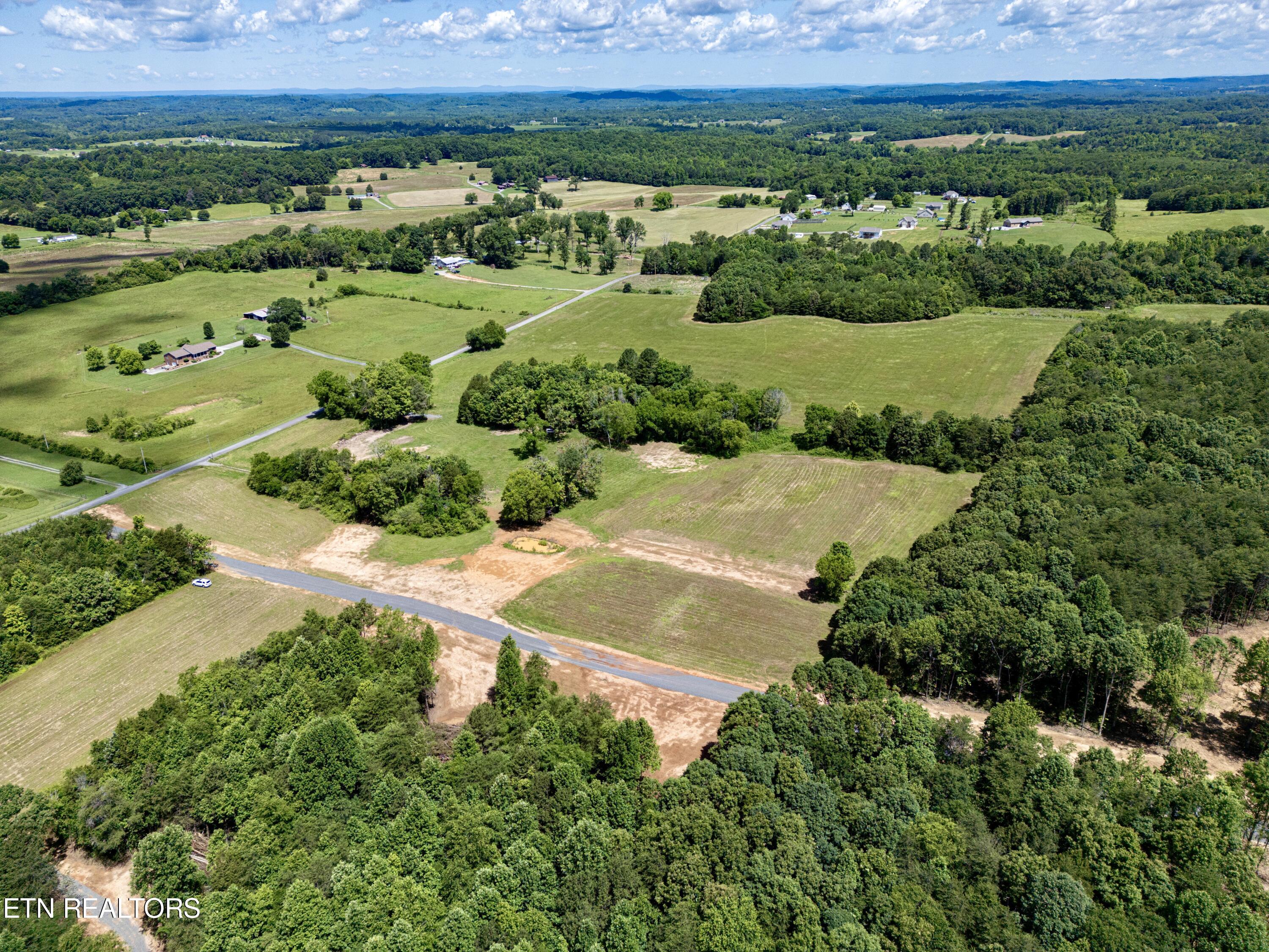 Chestnut Grove Road Etowah, TN 37331 - Photo 10 of 23 Aerial_7