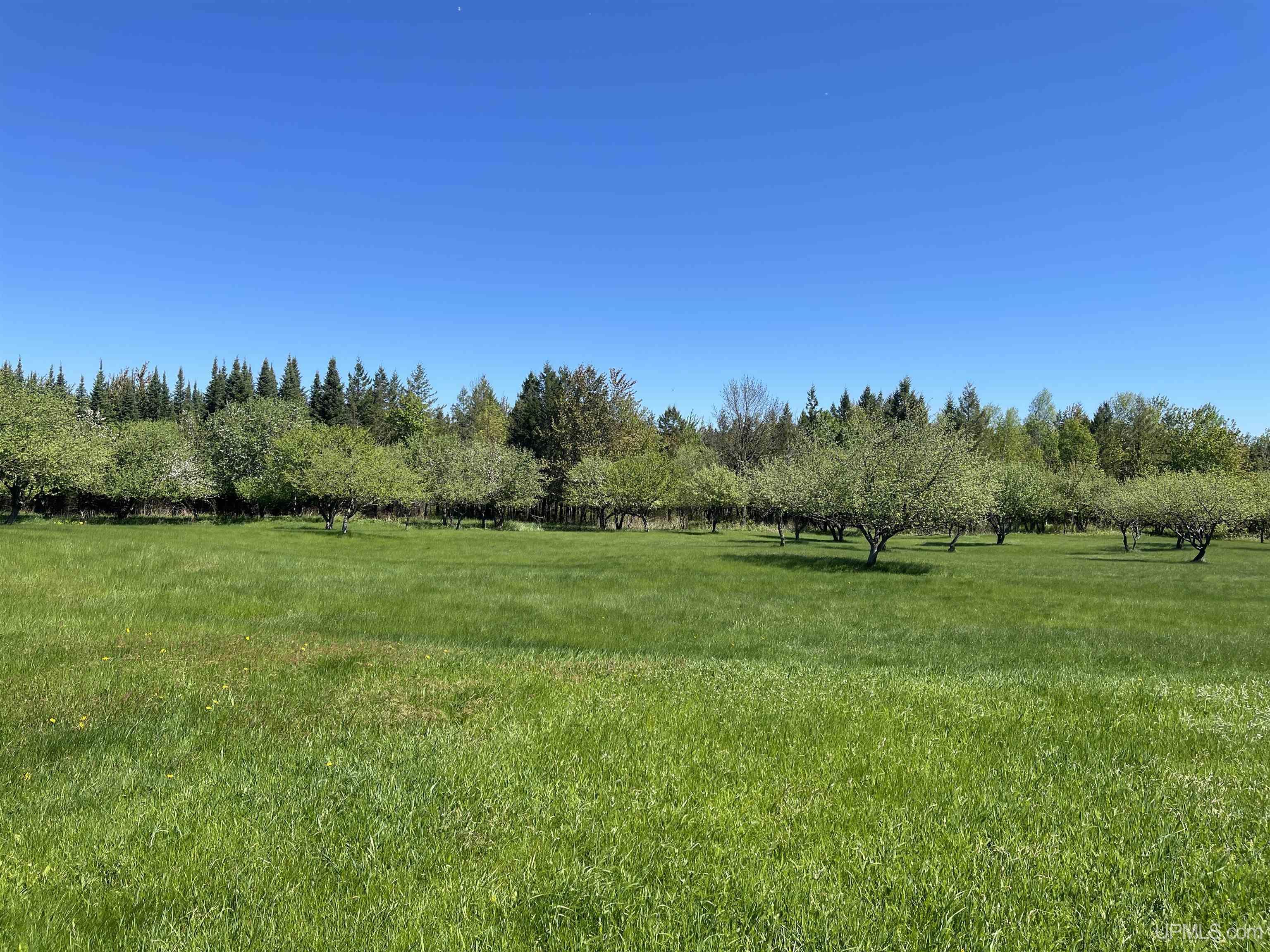 14895 Bellaire Road Baraga, MI 49908 - Photo 40 of 52 Gallery Image 40