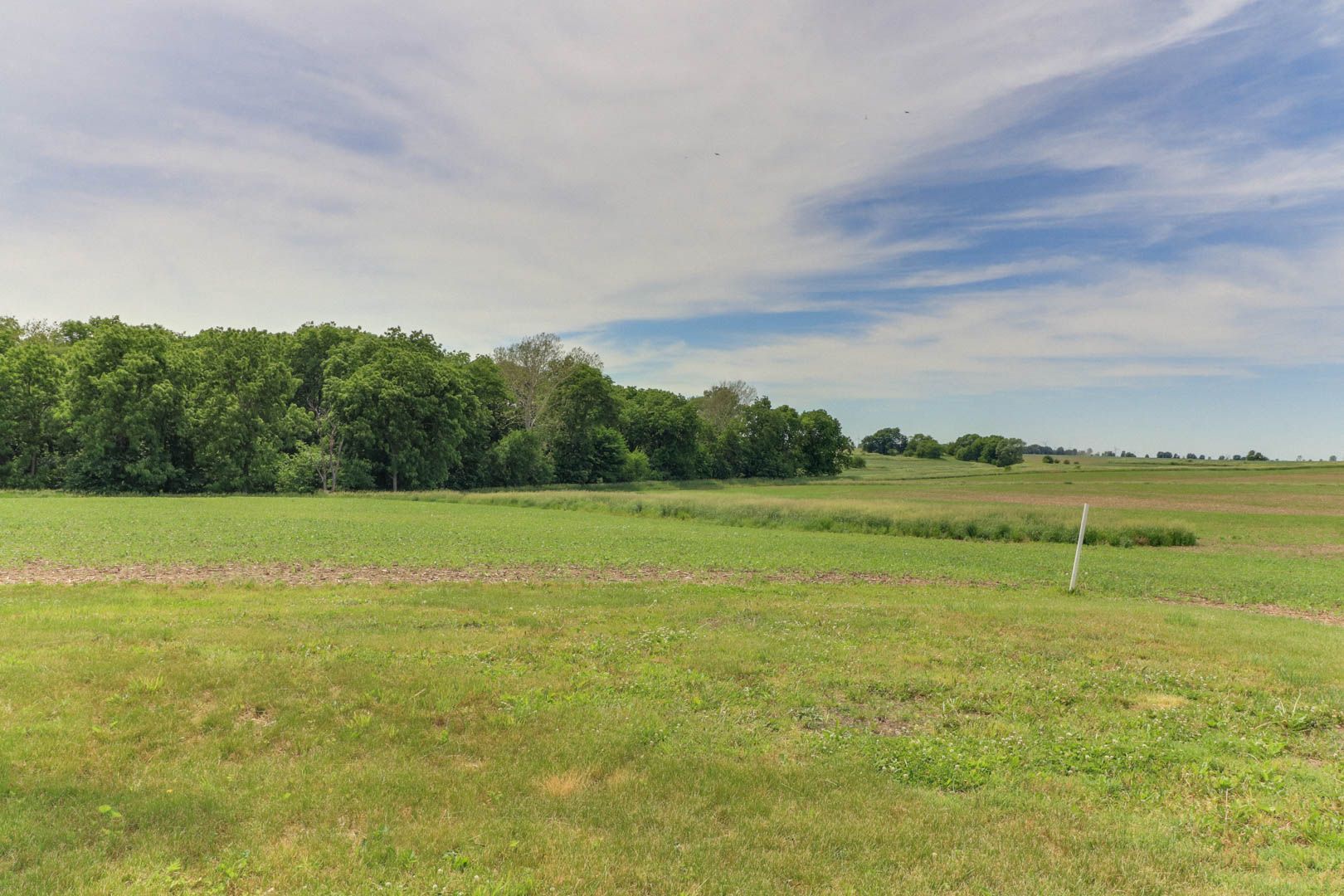 367 Horner Road Armington, IL 61721 - Photo 50 of 50 a view of a field with an ocean