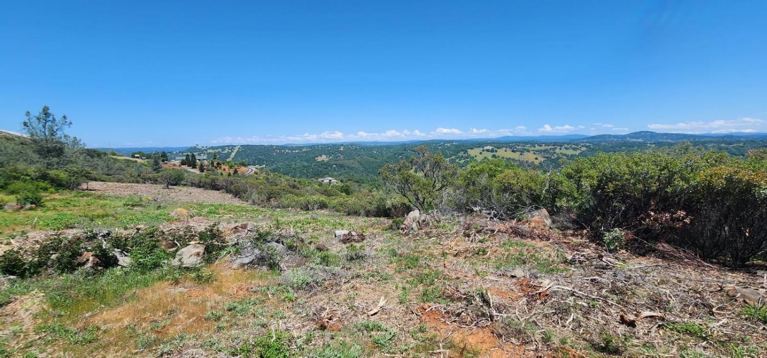 1000 Jurgens Road Rescue, CA 95672 - Photo 12 of 23 a view of a city with lush green forest