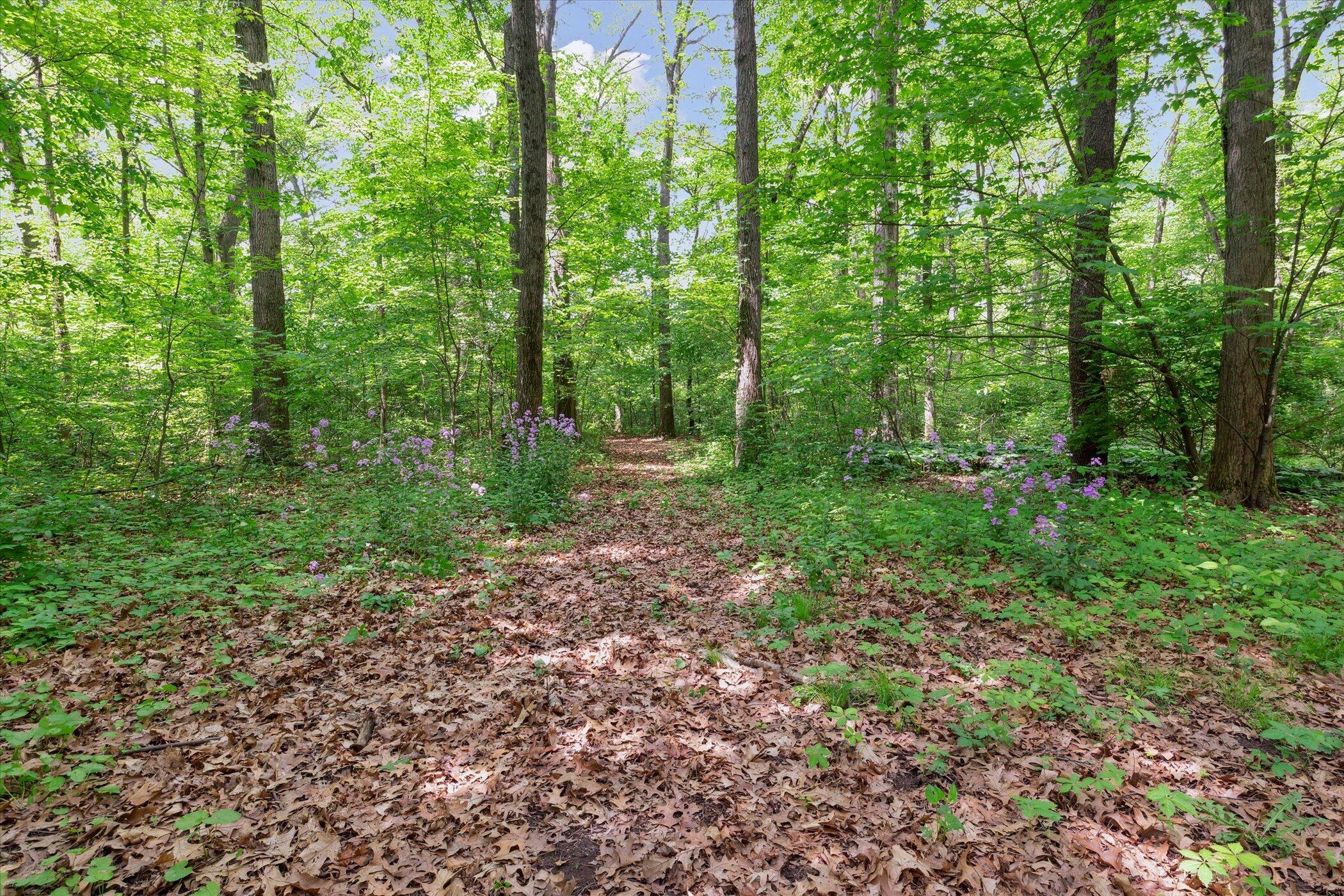 71213 State Line Road Edwardsburg, MI 49112 - Photo 54 of 69 Wooded Paths