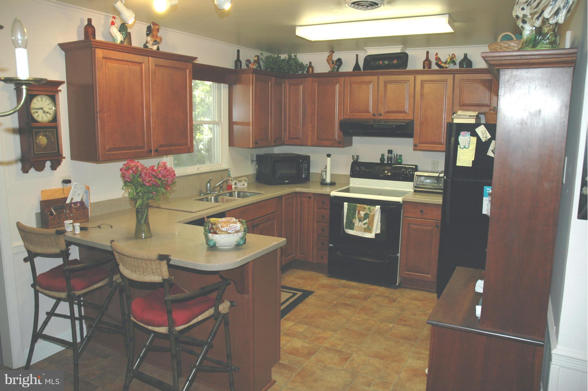 6685 Manadier Road Easton, MD 21601 - Photo 8 of 12 Kitchen