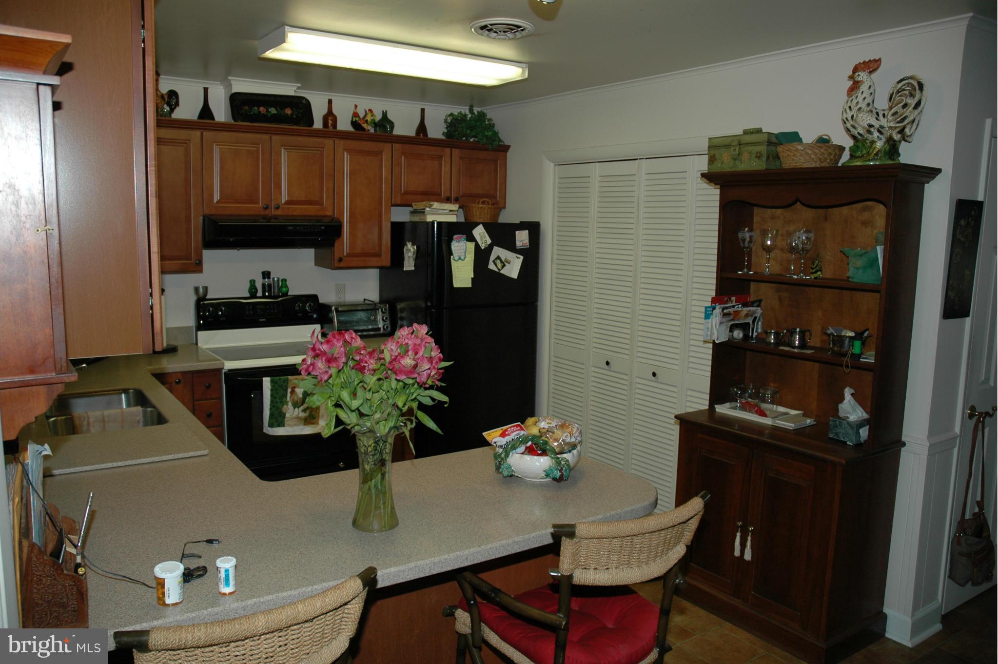 6685 Manadier Road Easton, MD 21601 - Photo 9 of 12 Kitchen