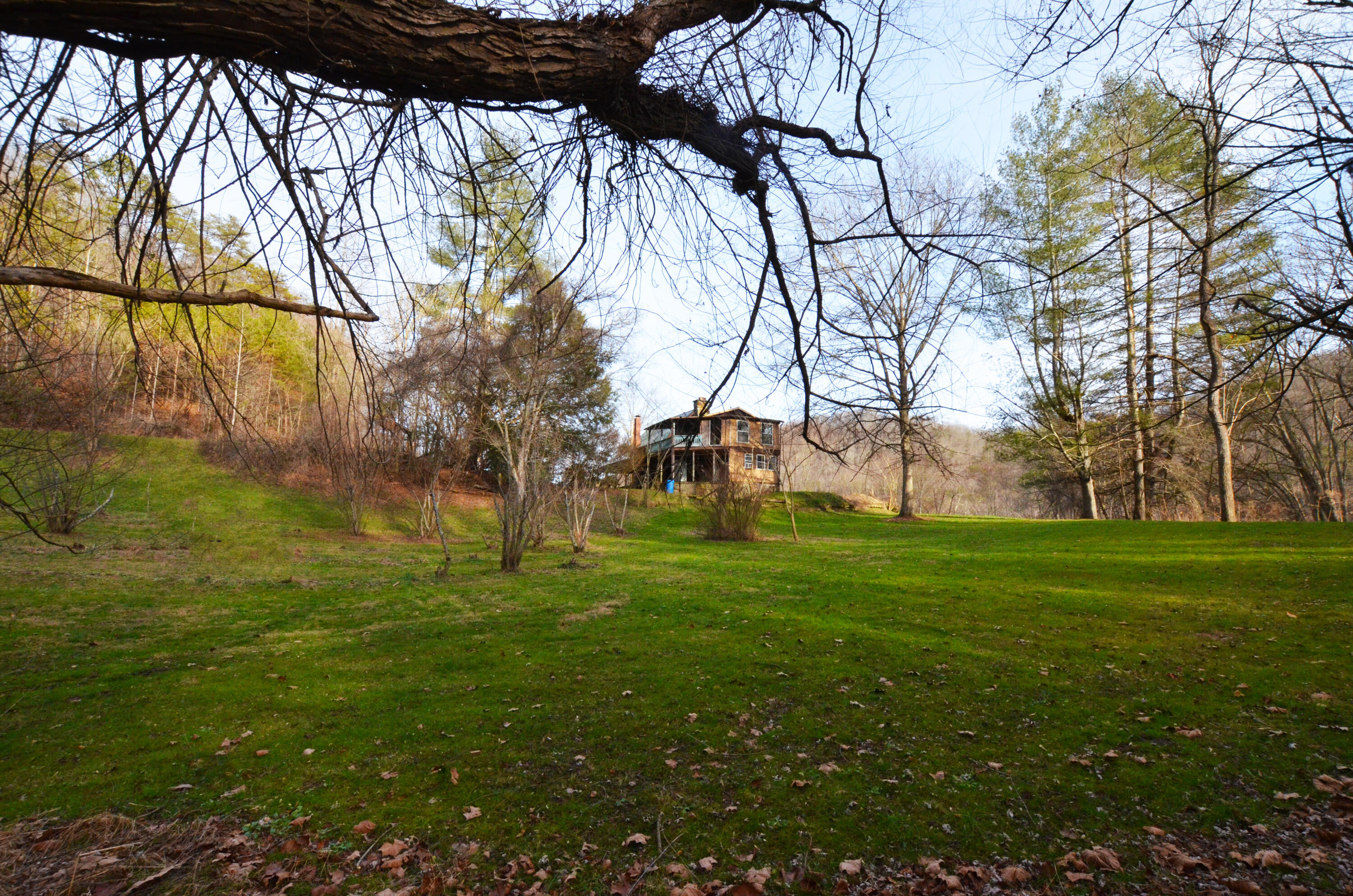 11907 Old Landing Road Irvine, KY 40336 - Photo 71 of 130 Look how green the grass is!