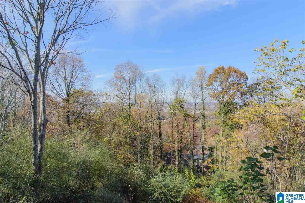 4956 Altamont Road South Birmingham, AL 35222 - Photo 45 of 48