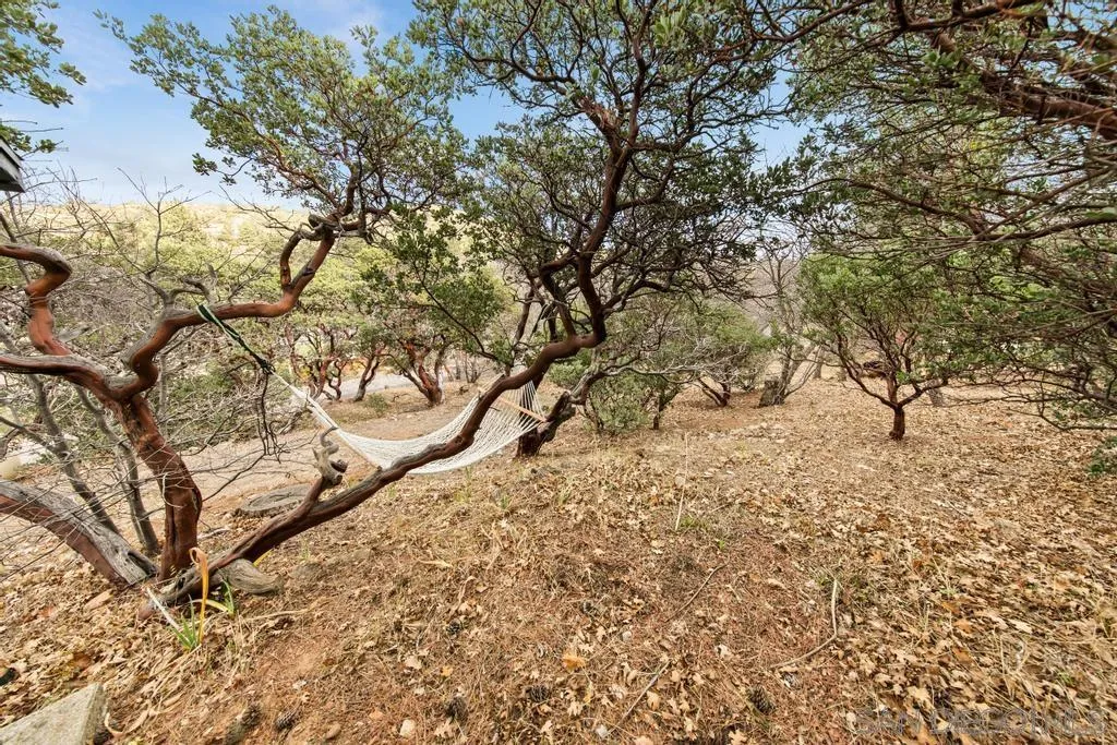 813 Pine Cone Drive Julian, CA 92036 - Photo 34 of 39 a view of a yard with large trees