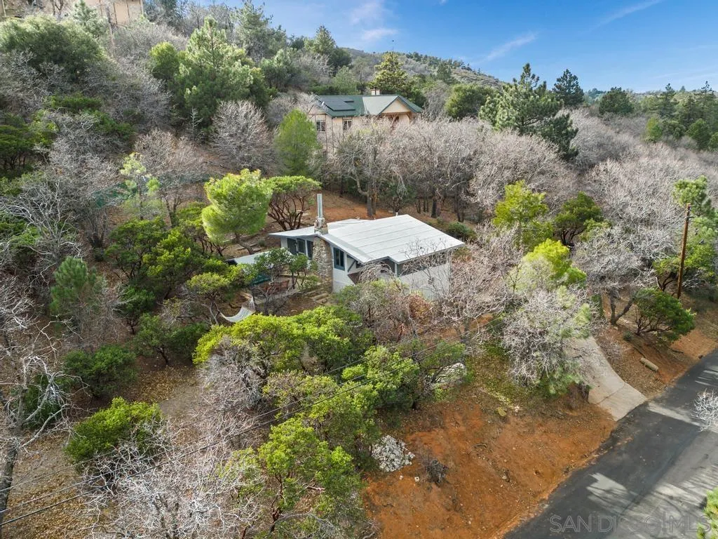 813 Pine Cone Drive Julian, CA 92036 - Photo 37 of 39 a view of a plants with a yard