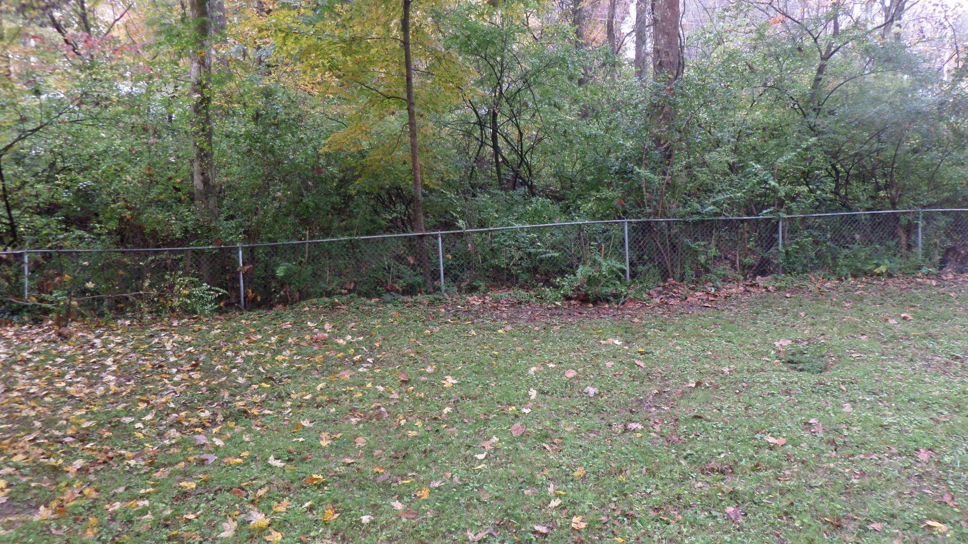 132 Parsons Road Oak Ridge, TN 37830 - Photo 25 of 26 Back Yard
