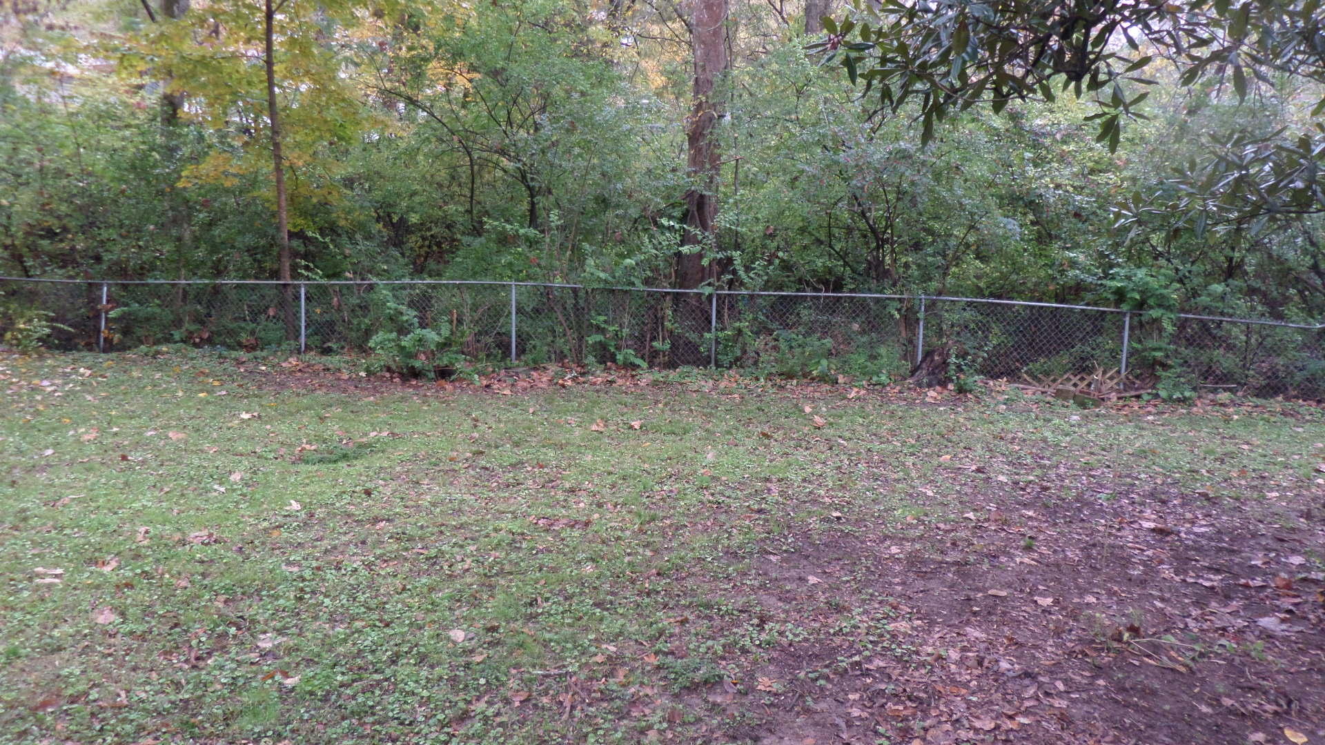 132 Parsons Road Oak Ridge, TN 37830 - Photo 26 of 26 Back Yard