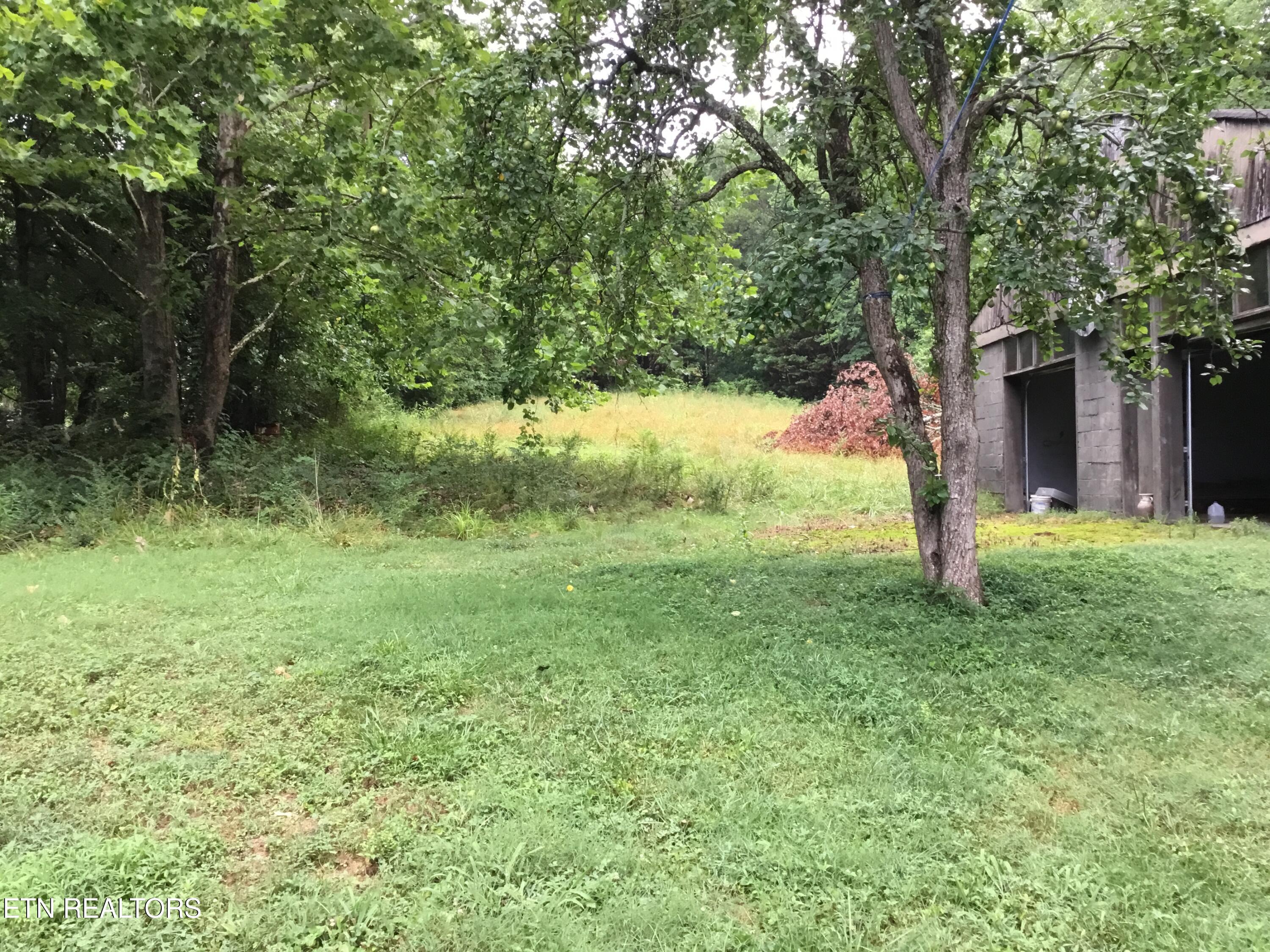 7835 Boss Road Knoxville, TN 37931 - Photo 5 of 32 IMG_0279