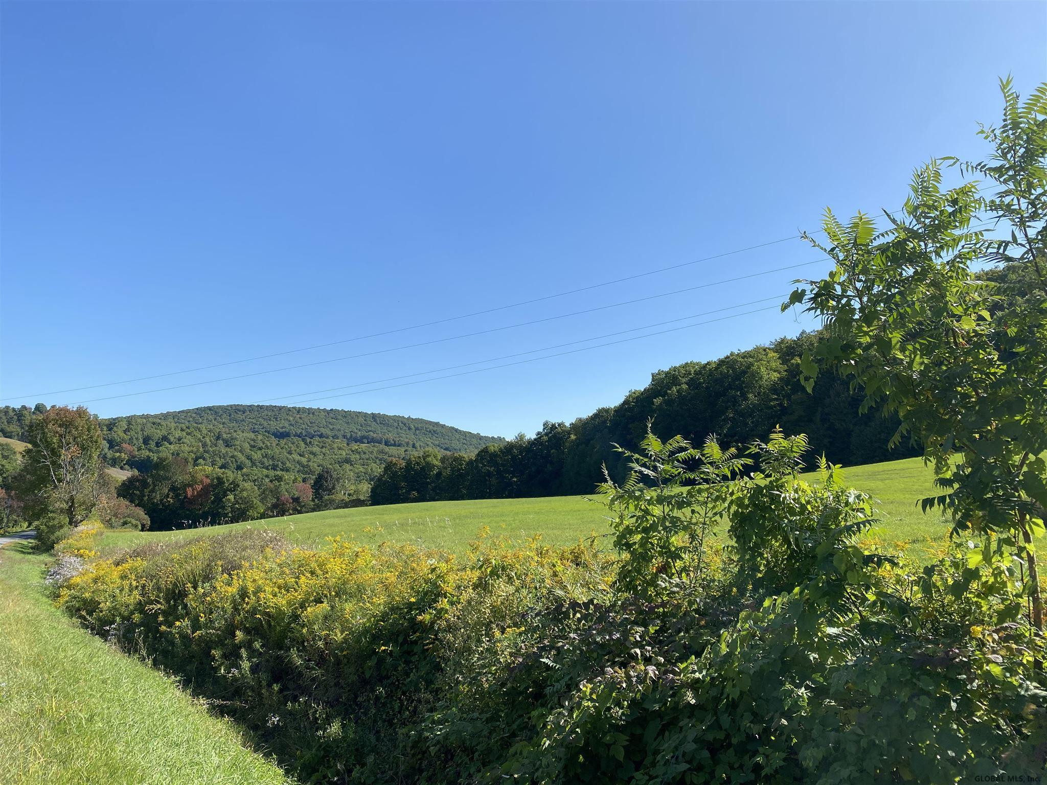 0 Petteys Road Greenwich, NY 12834 - Photo 1 of 11 Photo 1
