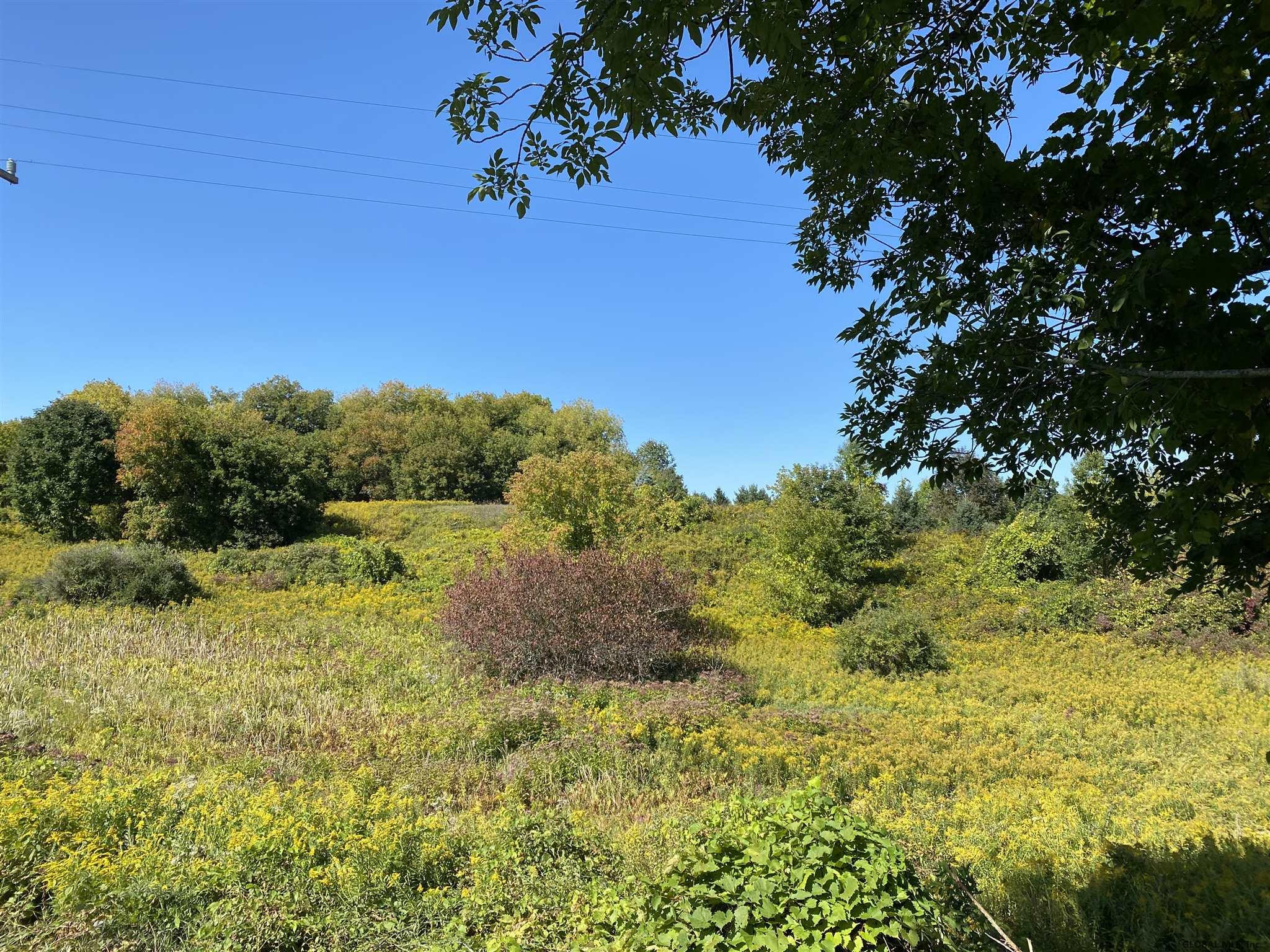 0 Petteys Road Greenwich, NY 12834 - Photo 2 of 11 Photo 2