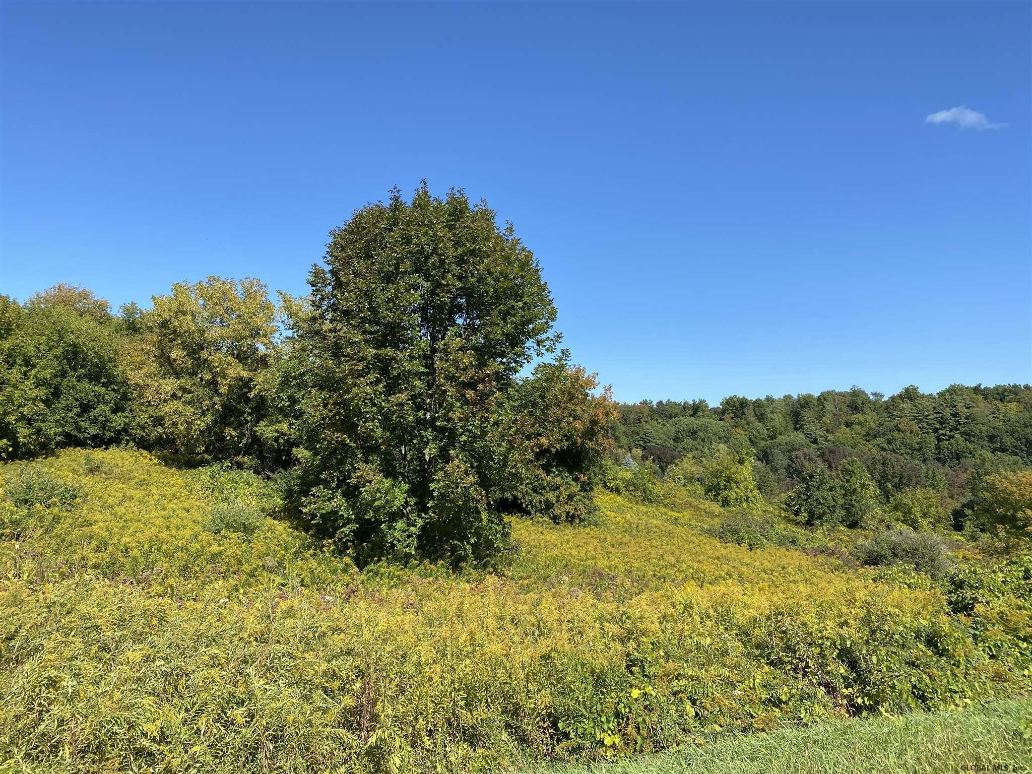 0 Petteys Road Greenwich, NY 12834 - Photo 4 of 11 Photo 4