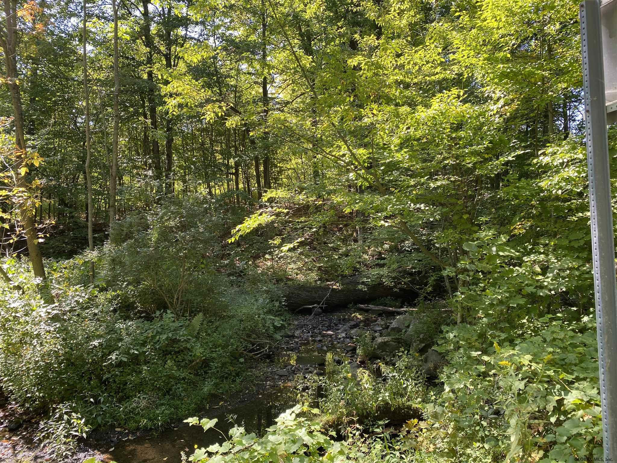 0 Petteys Road Greenwich, NY 12834 - Photo 5 of 11 Photo 5