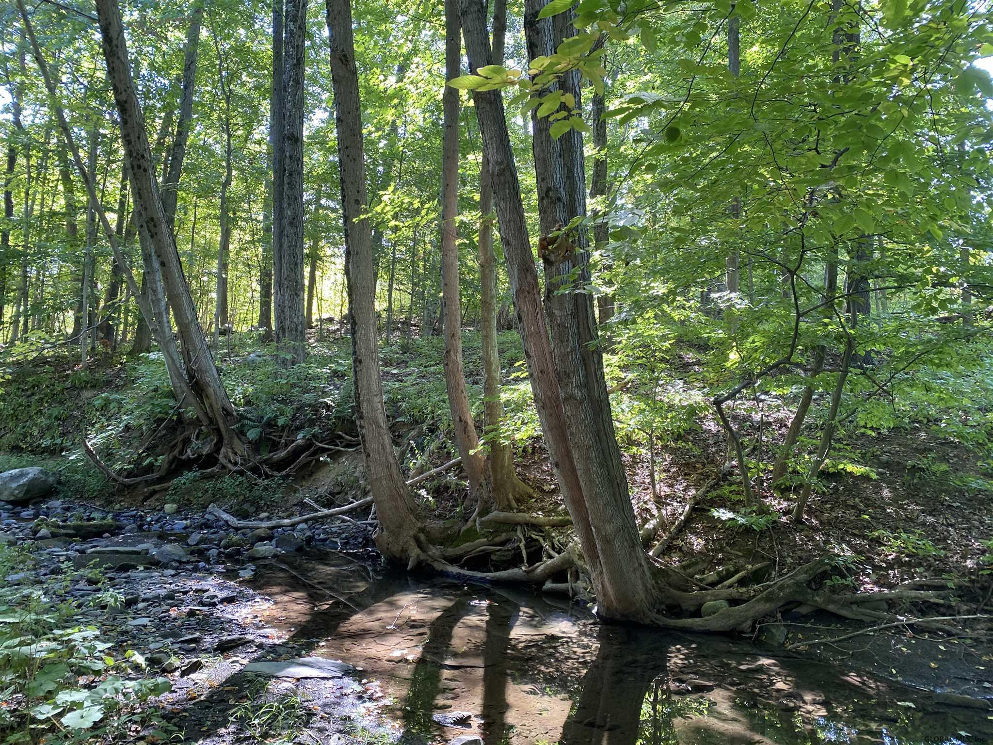0 Petteys Road Greenwich, NY 12834 - Photo 7 of 11 Photo 7