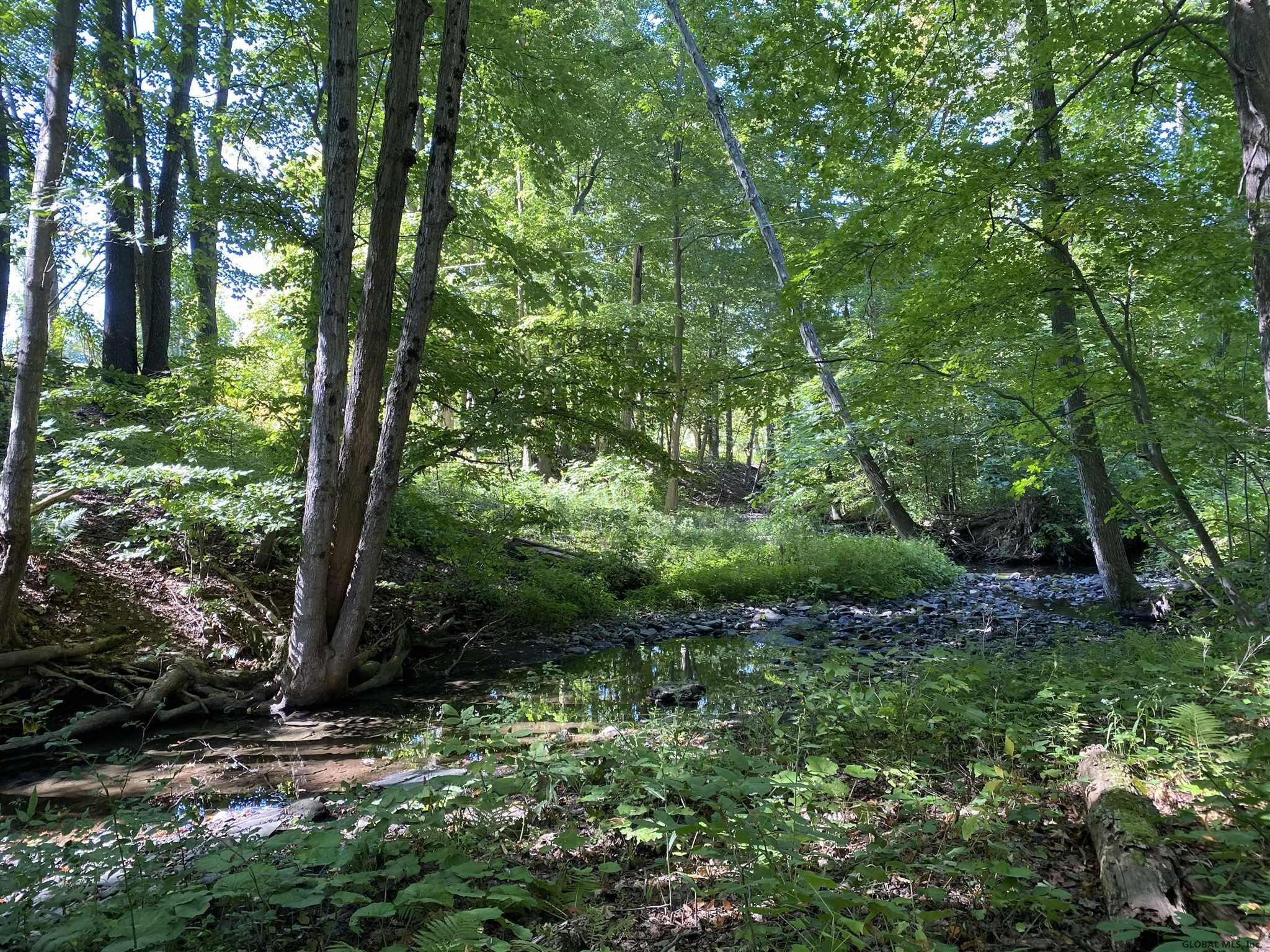 0 Petteys Road Greenwich, NY 12834 - Photo 8 of 11 Photo 8