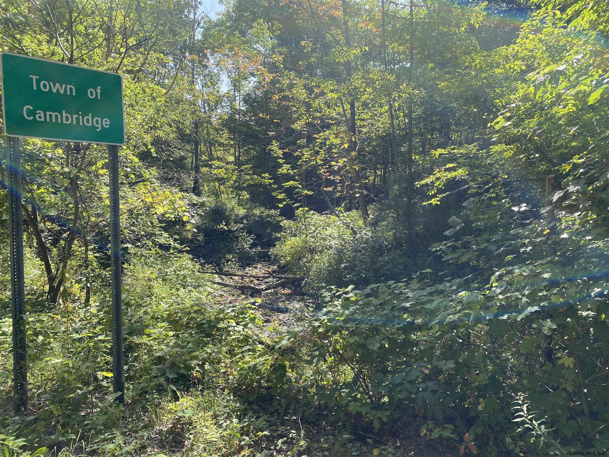 0 Petteys Road Greenwich, NY 12834 - Photo 9 of 11 Photo 9
