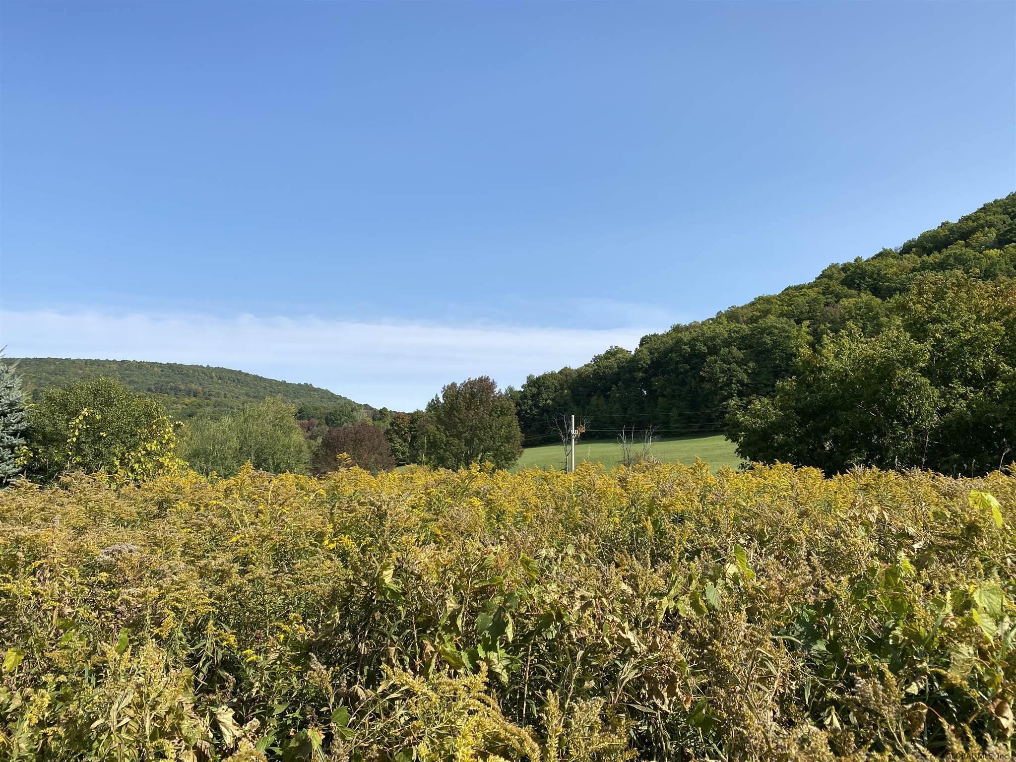 0 Petteys Road Greenwich, NY 12834 - Photo 10 of 11 Photo 10