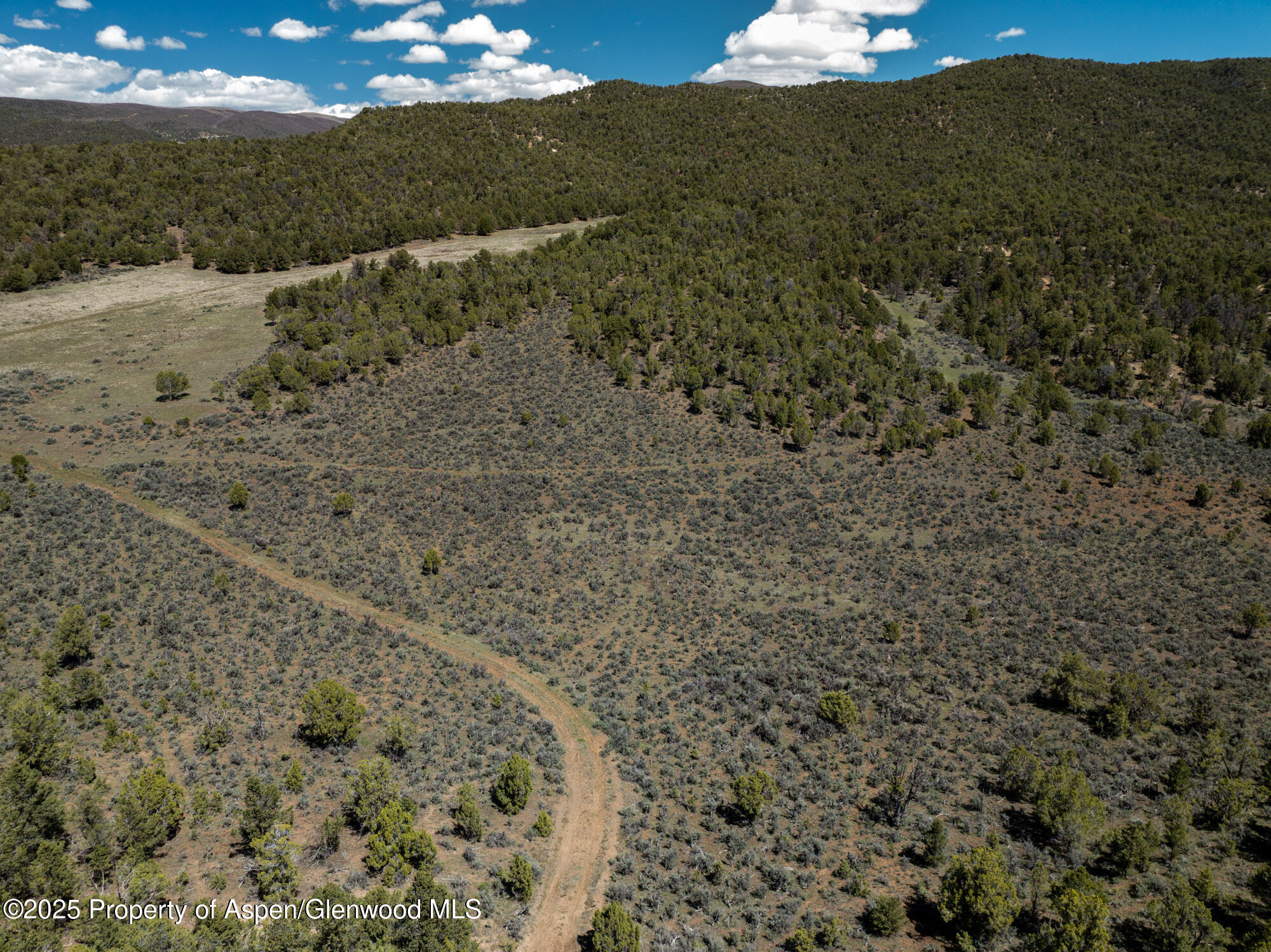 Tbd Grass Valley Road Rifle, CO 81650 - Photo 13 of 24 a view of a field with an ocean