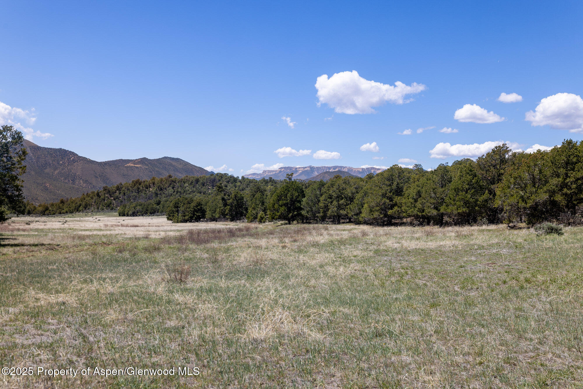 Tbd Grass Valley Road Rifle, CO 81650 - Photo 14 of 24 a view of an outdoor space and mountain view