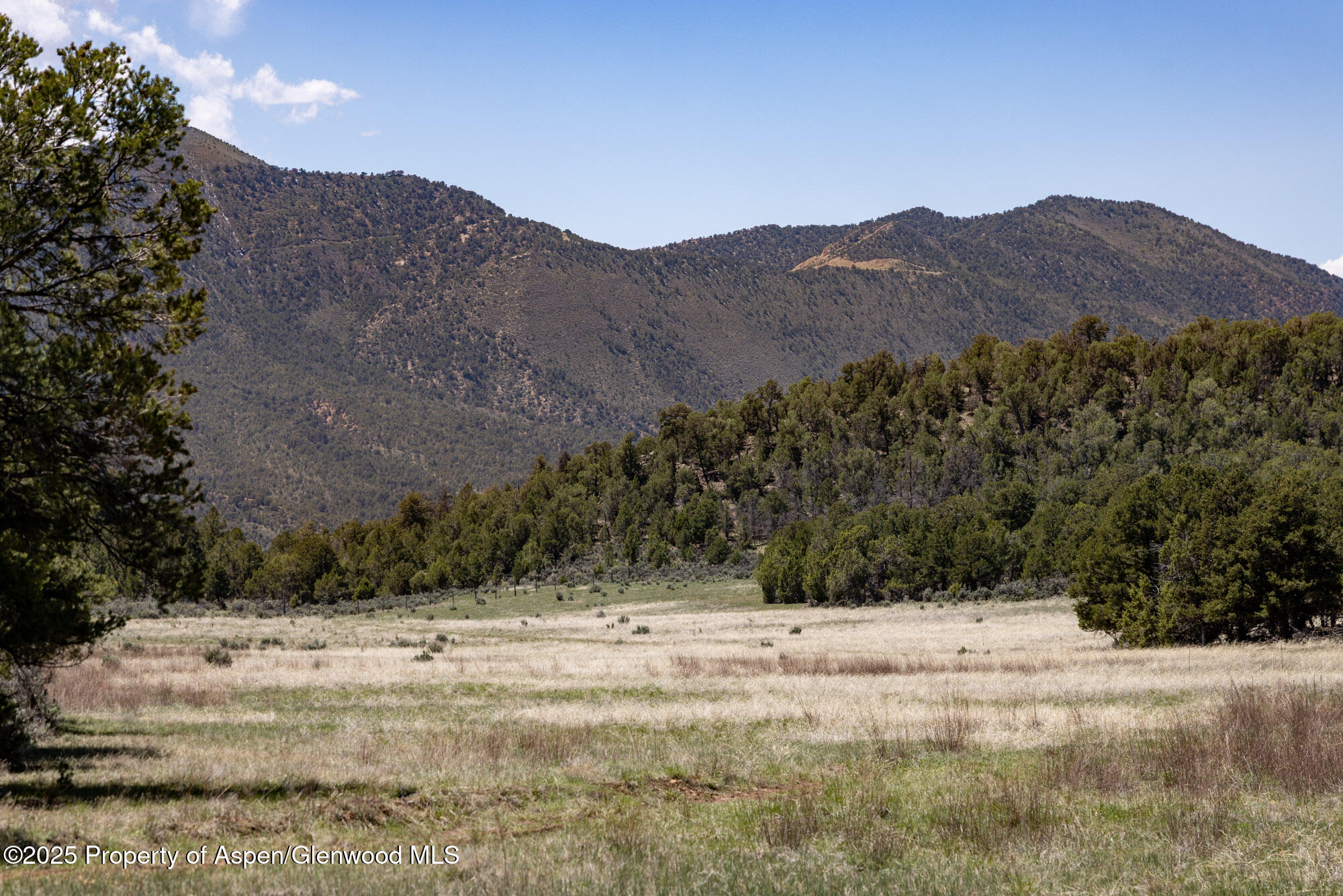 Tbd Grass Valley Road Rifle, CO 81650 - Photo 15 of 24 a view of mountain view