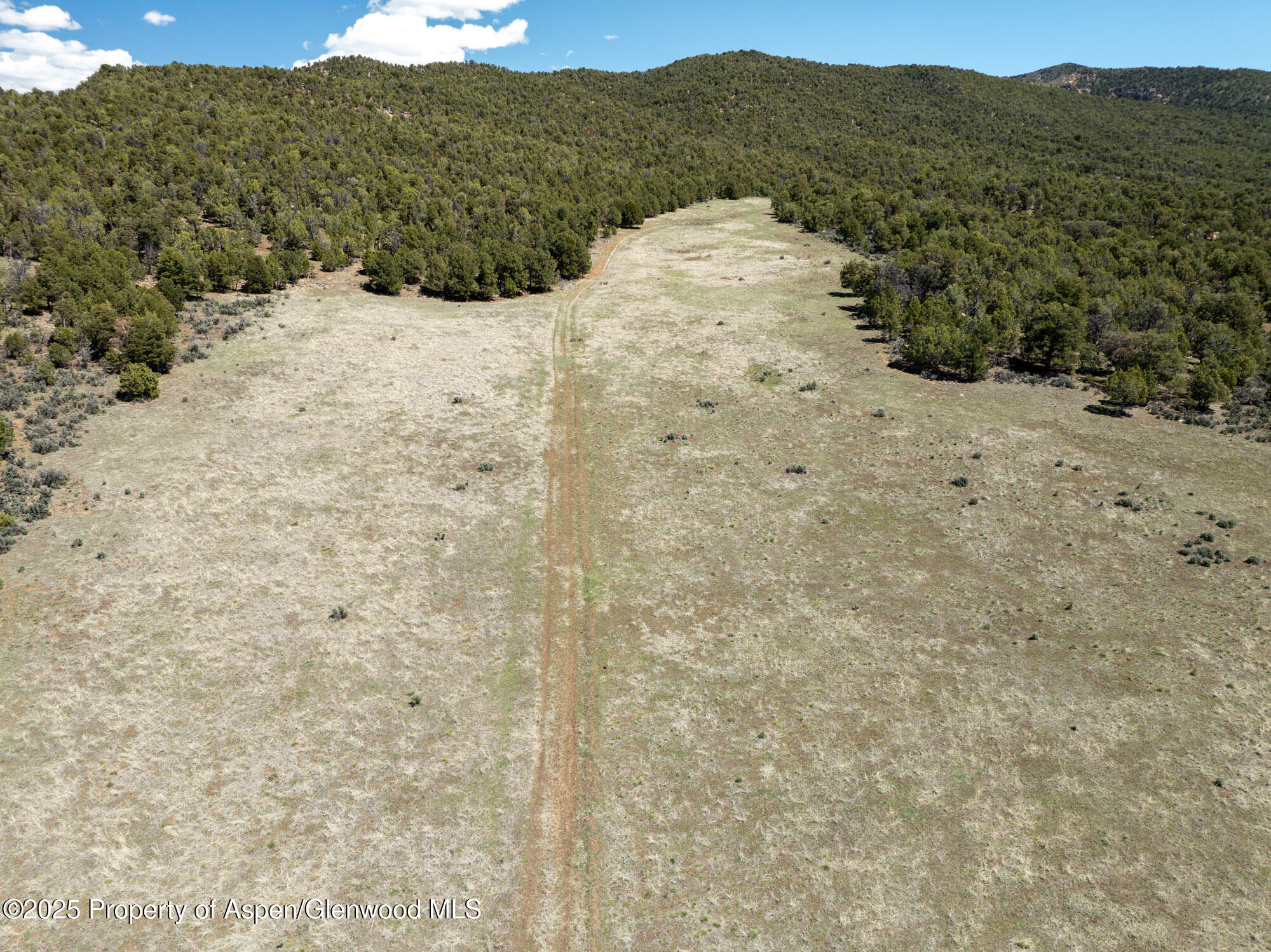 Tbd Grass Valley Road Rifle, CO 81650 - Photo 17 of 24 a view of a dry yard with mountains in the background