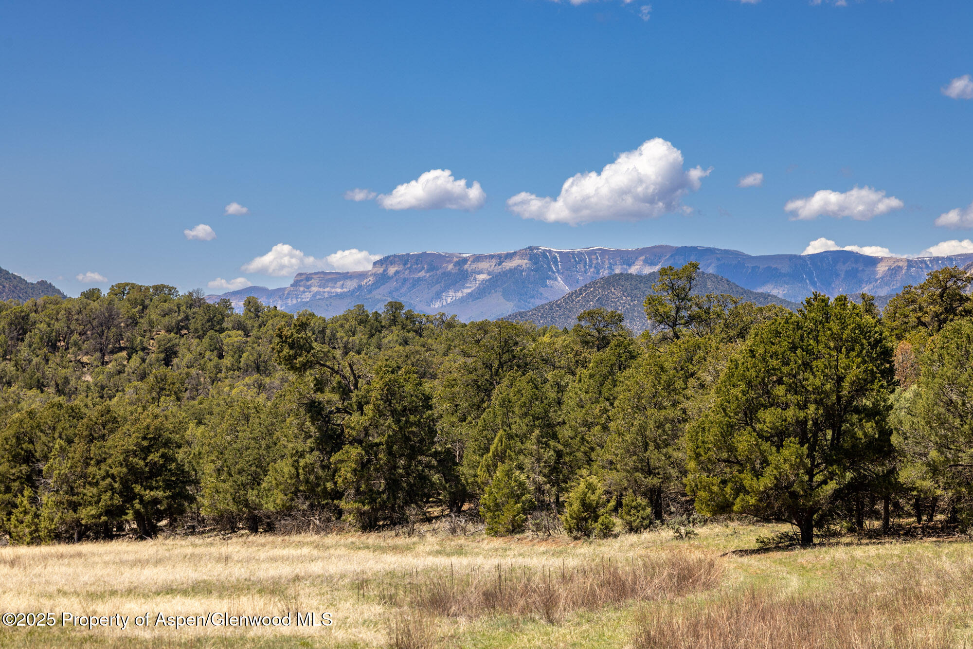 Tbd Grass Valley Road Rifle, CO 81650 - Photo 2 of 24 a view of a sky