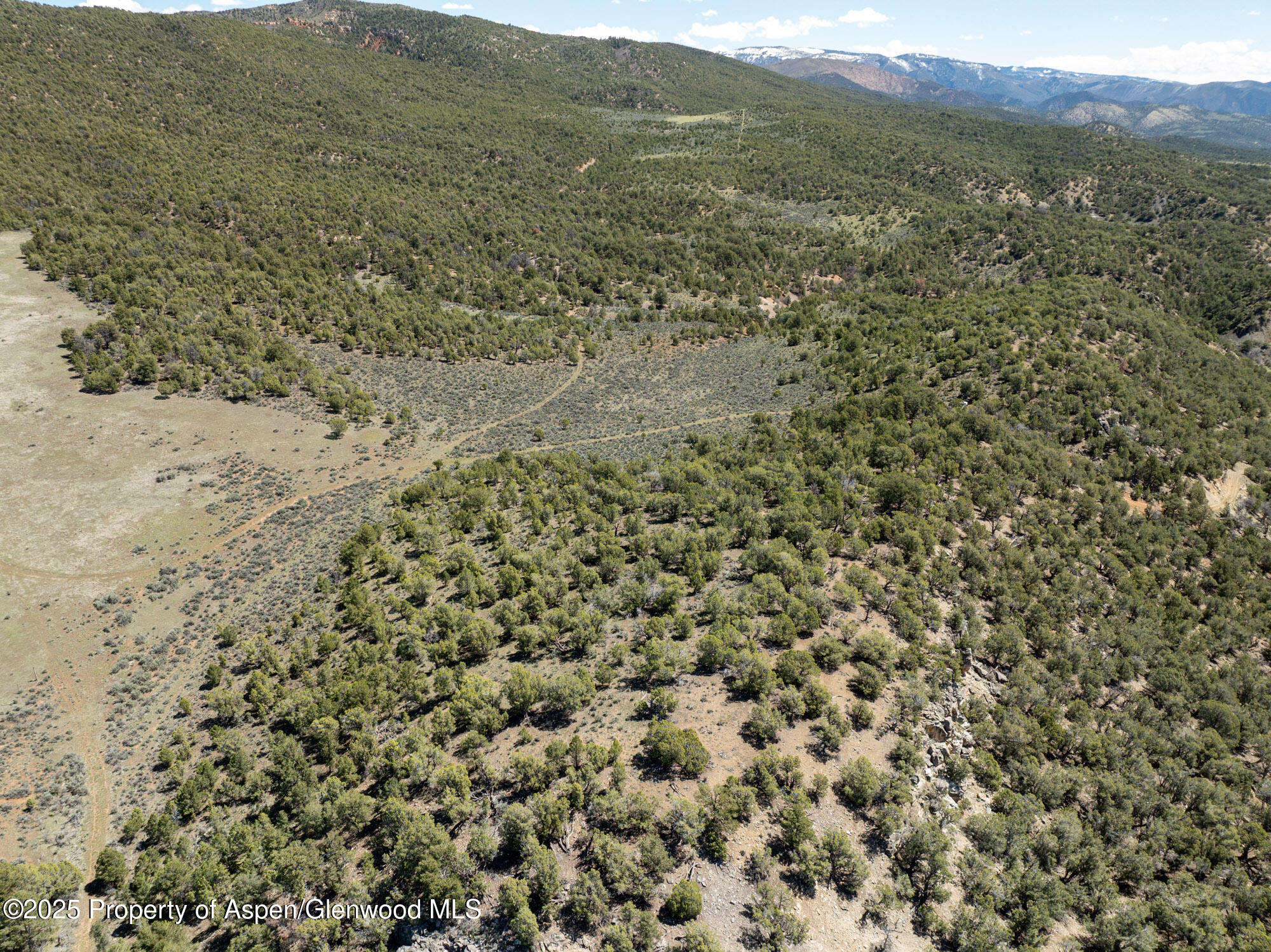 Tbd Grass Valley Road Rifle, CO 81650 - Photo 21 of 24 a view of a field with trees in the background